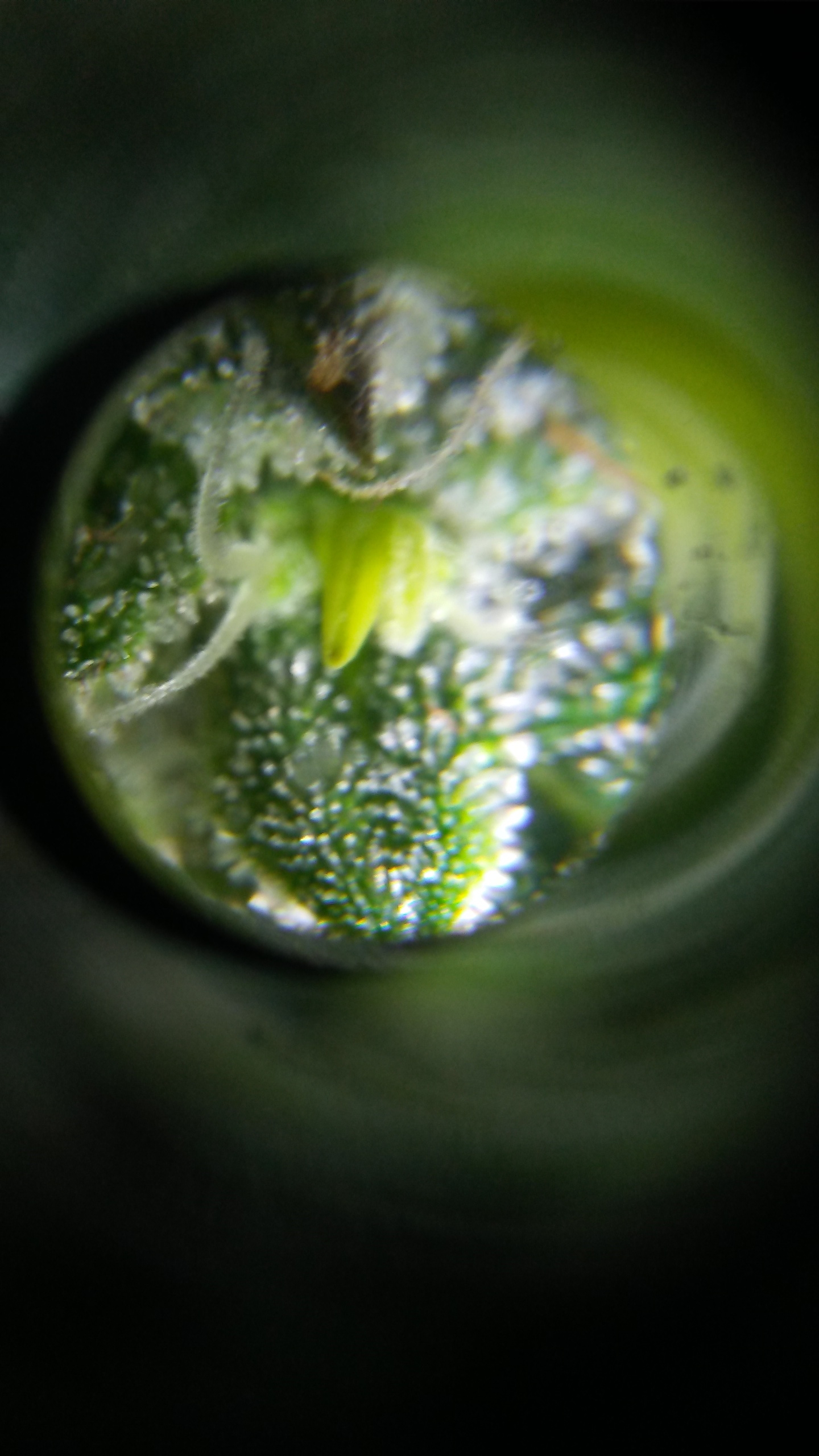 20170402_000409.jpg