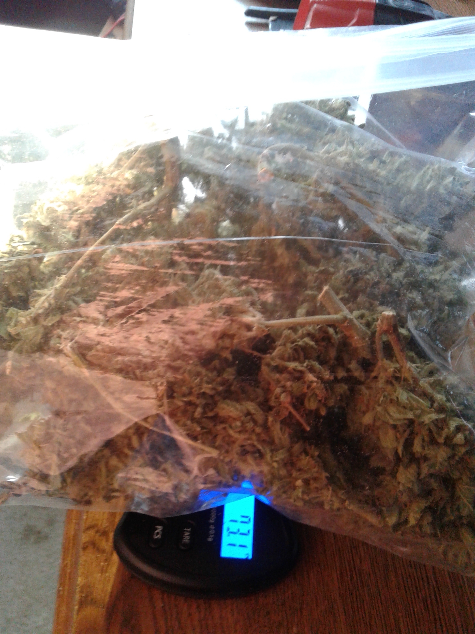 20170407_072924.jpg