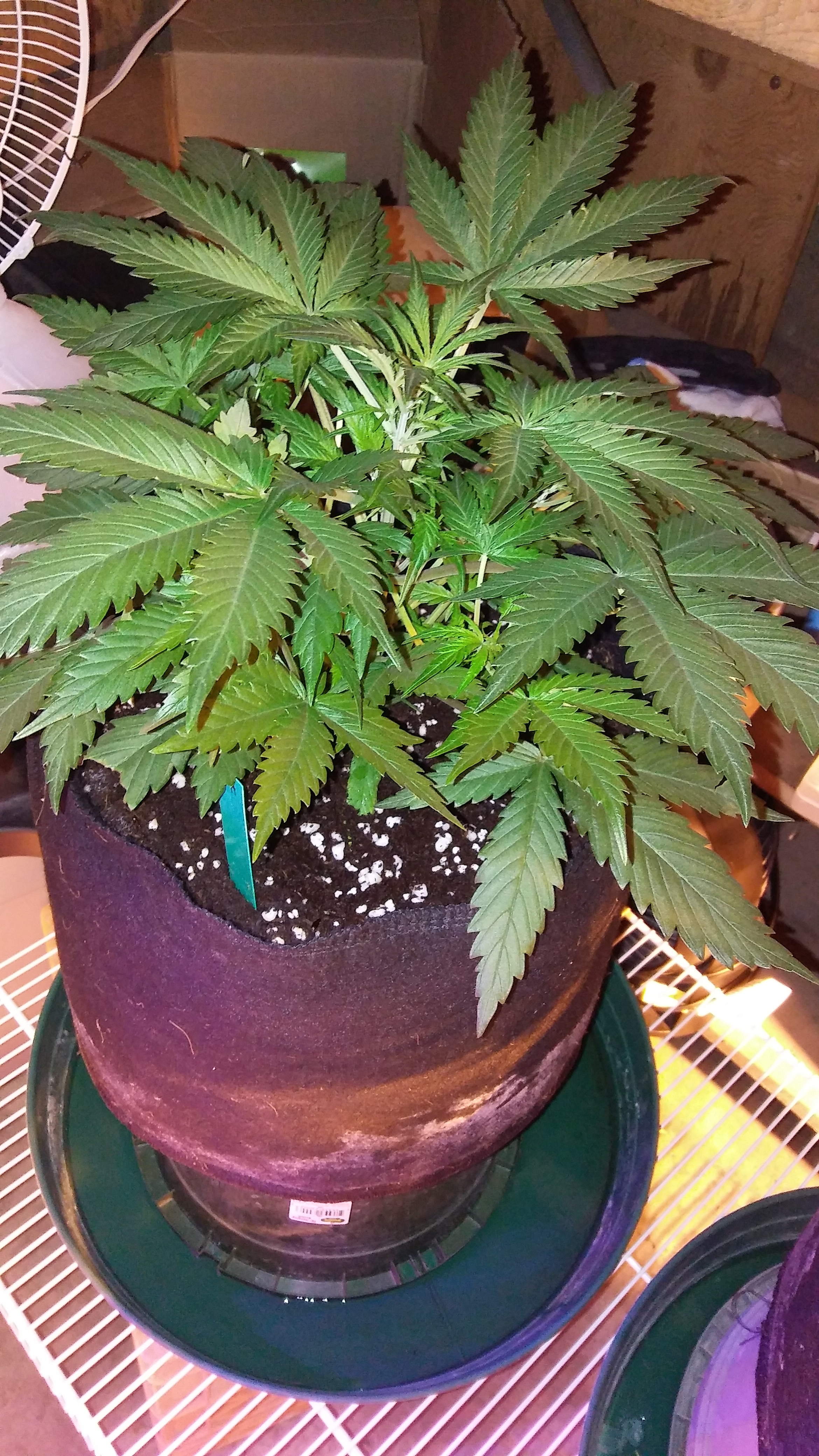 20170429_072045.jpg
