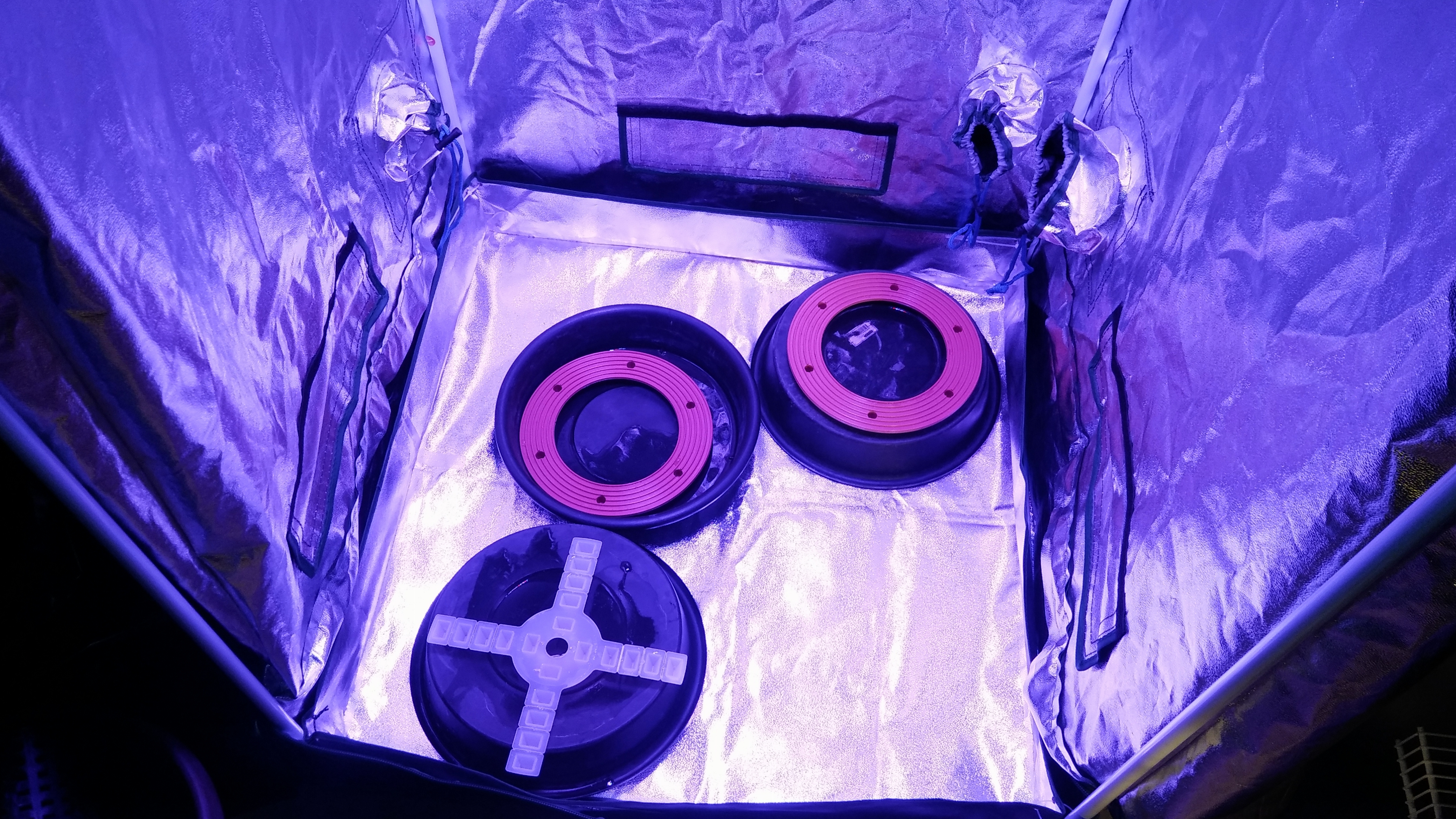 20170429_072137.jpg