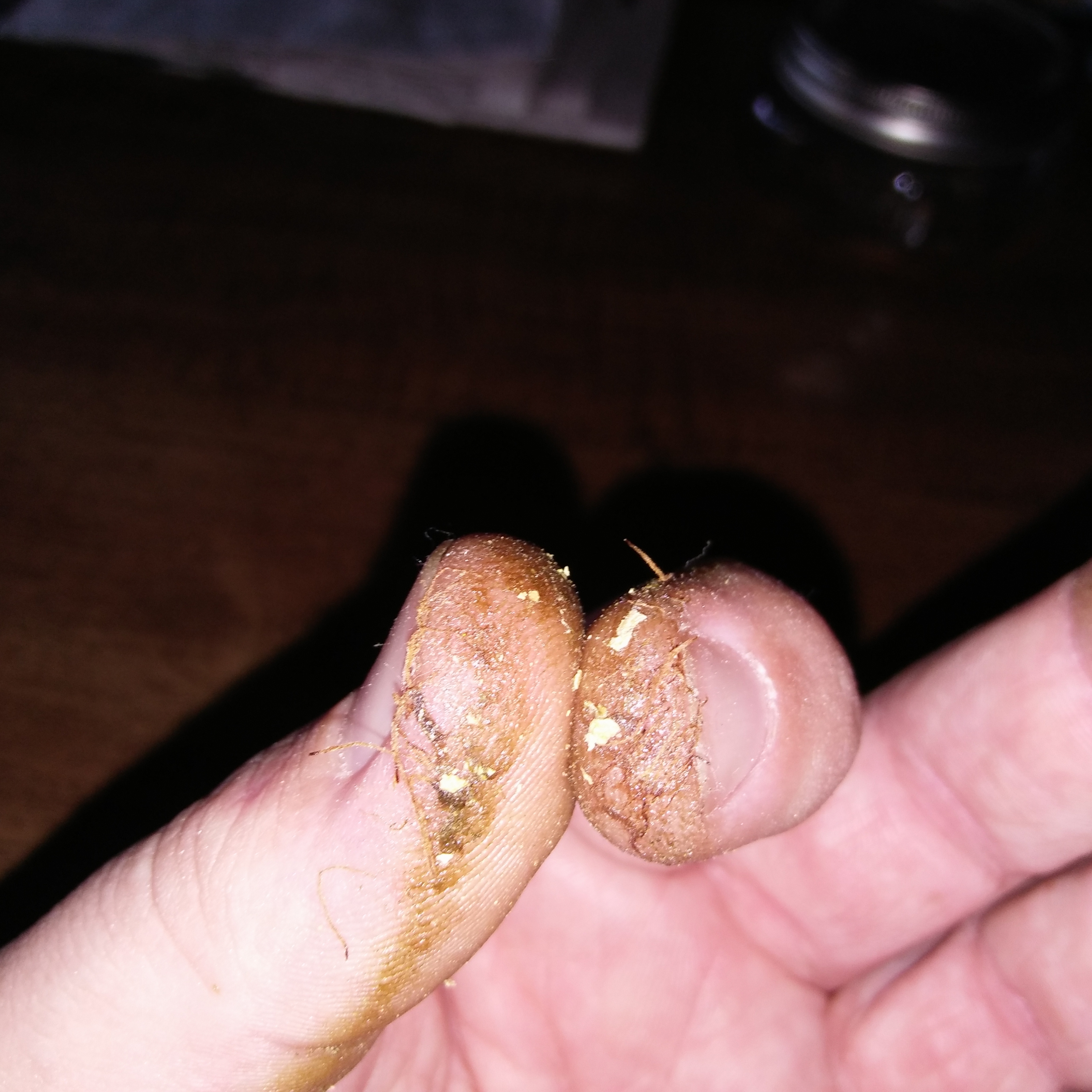 20170725_084403.jpg