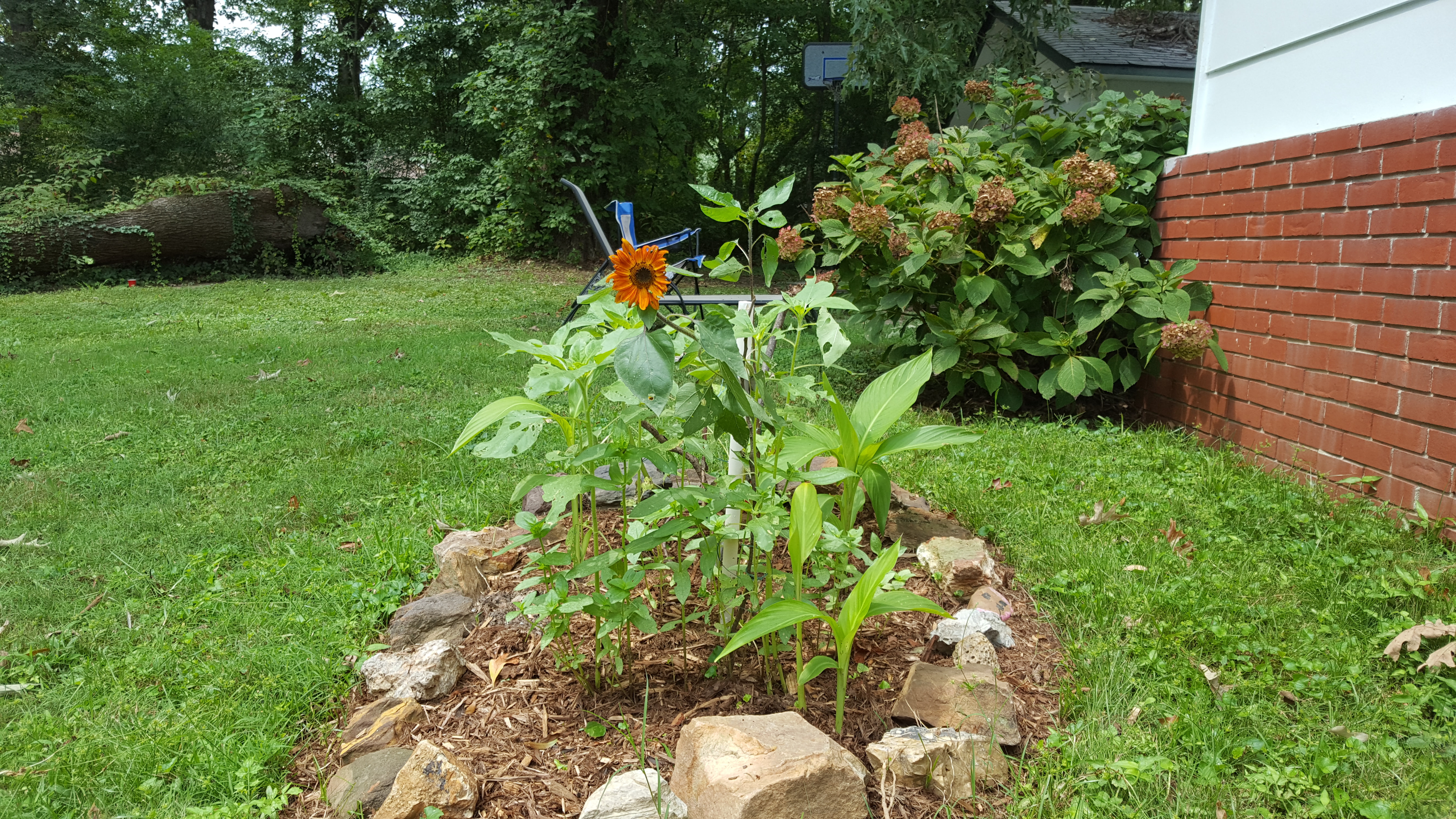 20170817_140953.jpg