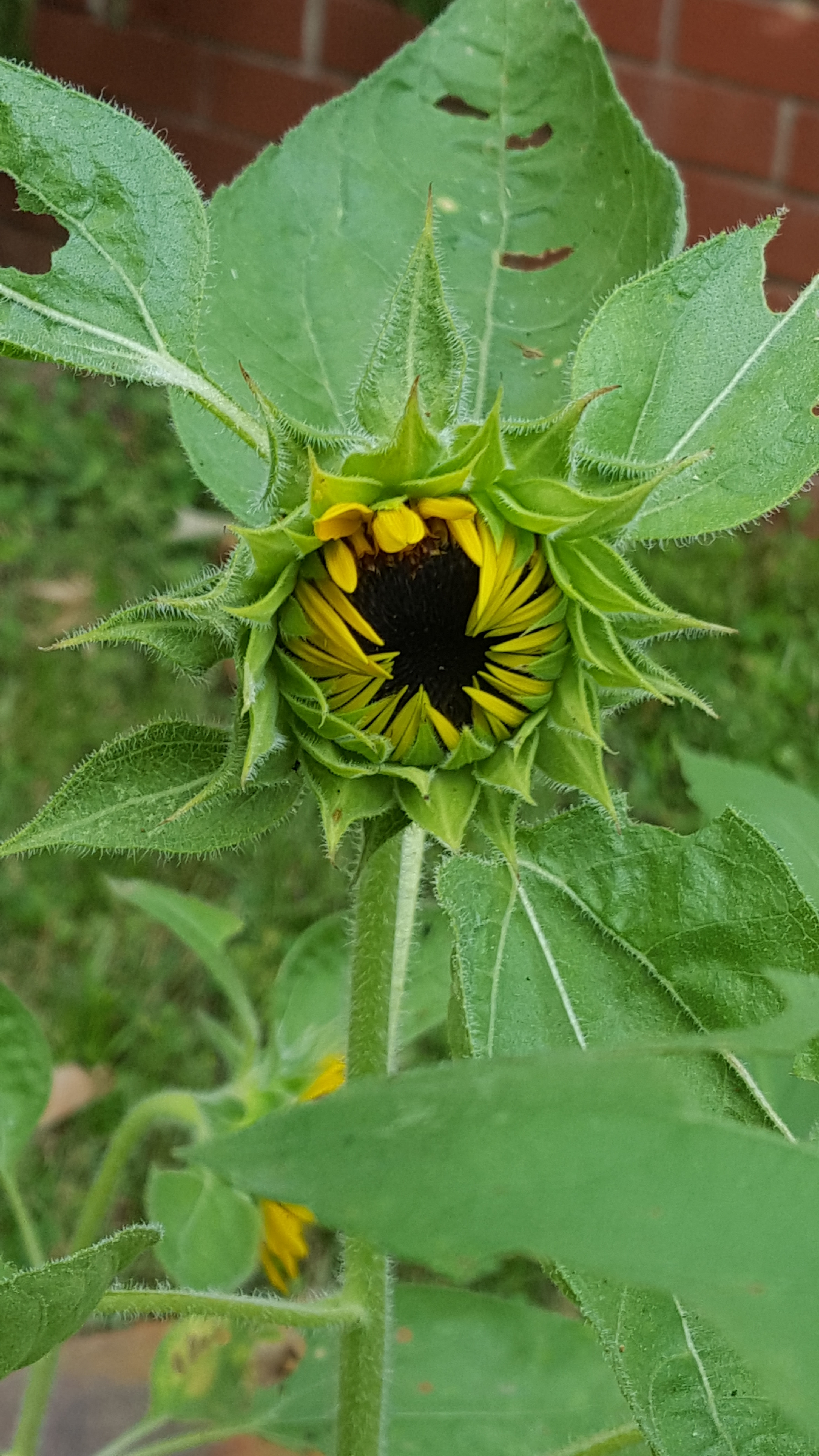 20170826_164905.jpg
