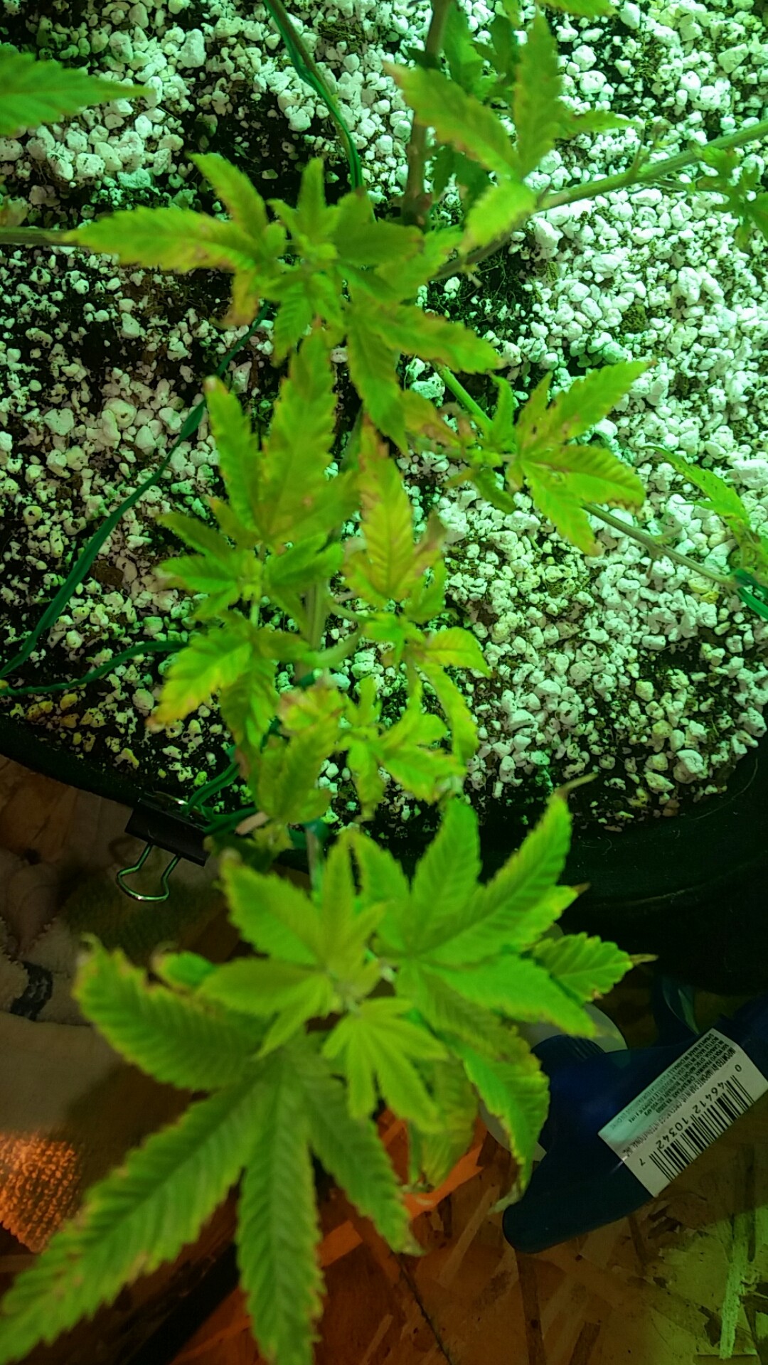 20171025_223749.jpg