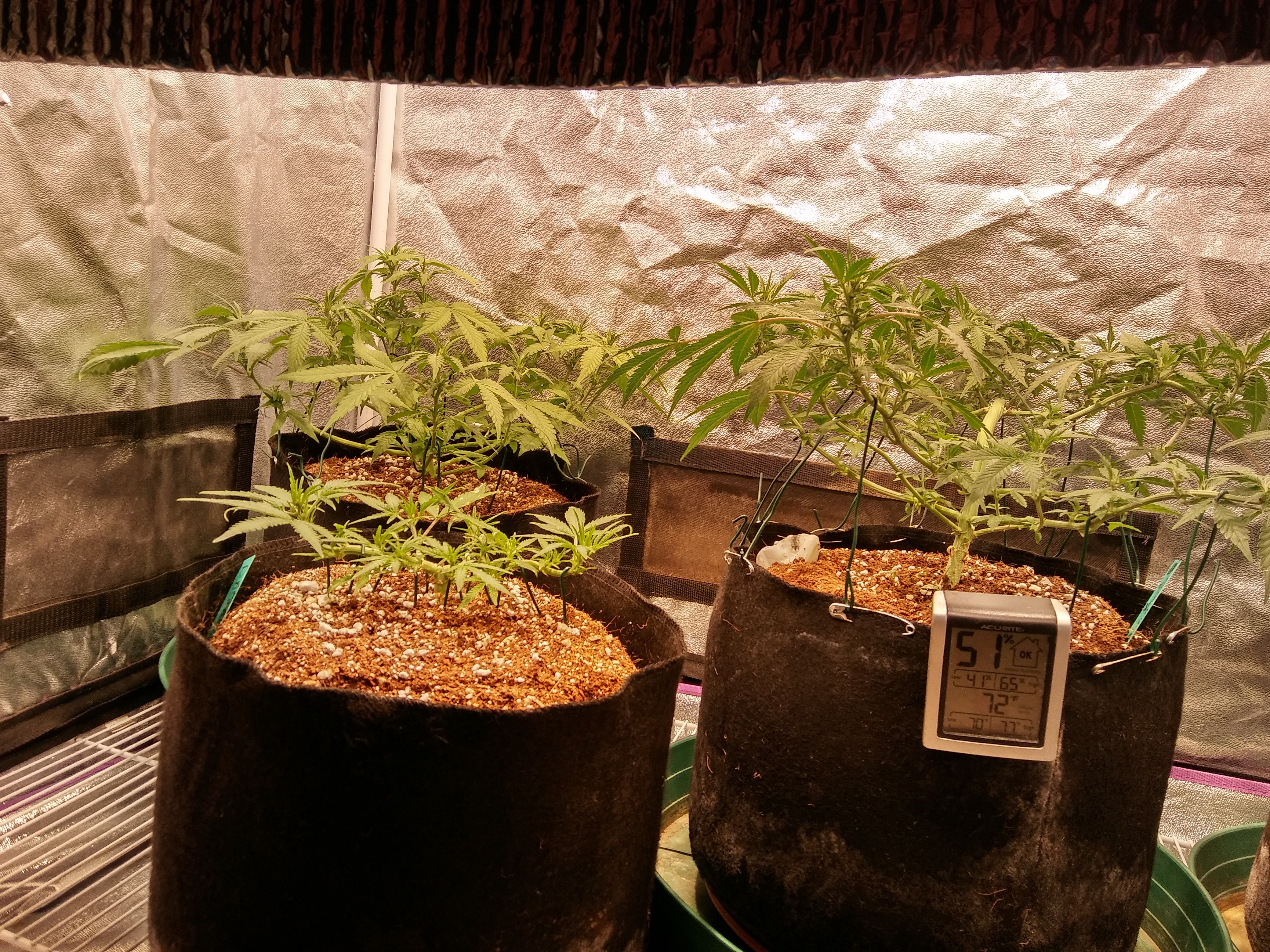 20171026_081255_HDR.jpg