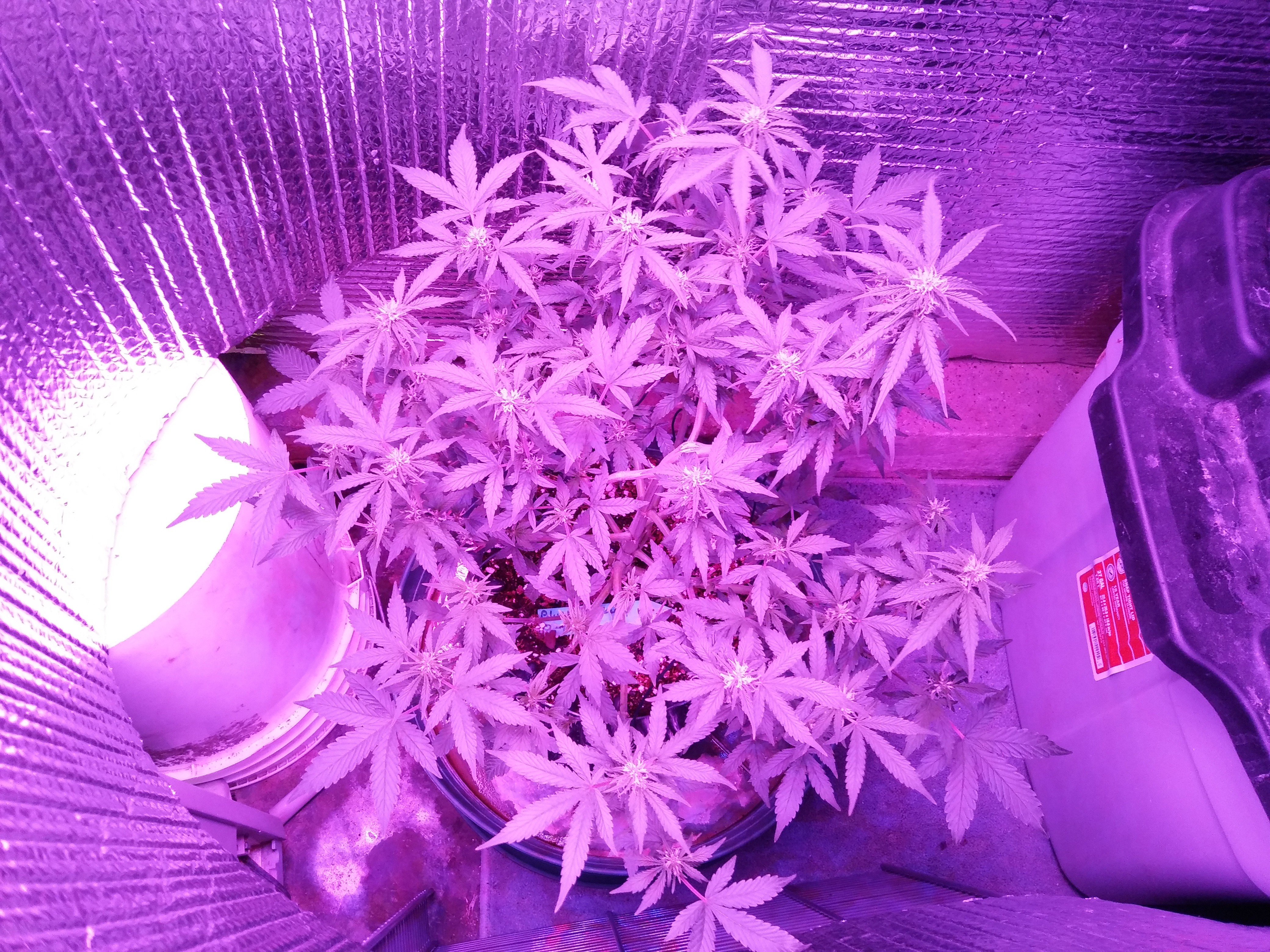 20171026_081311.jpg