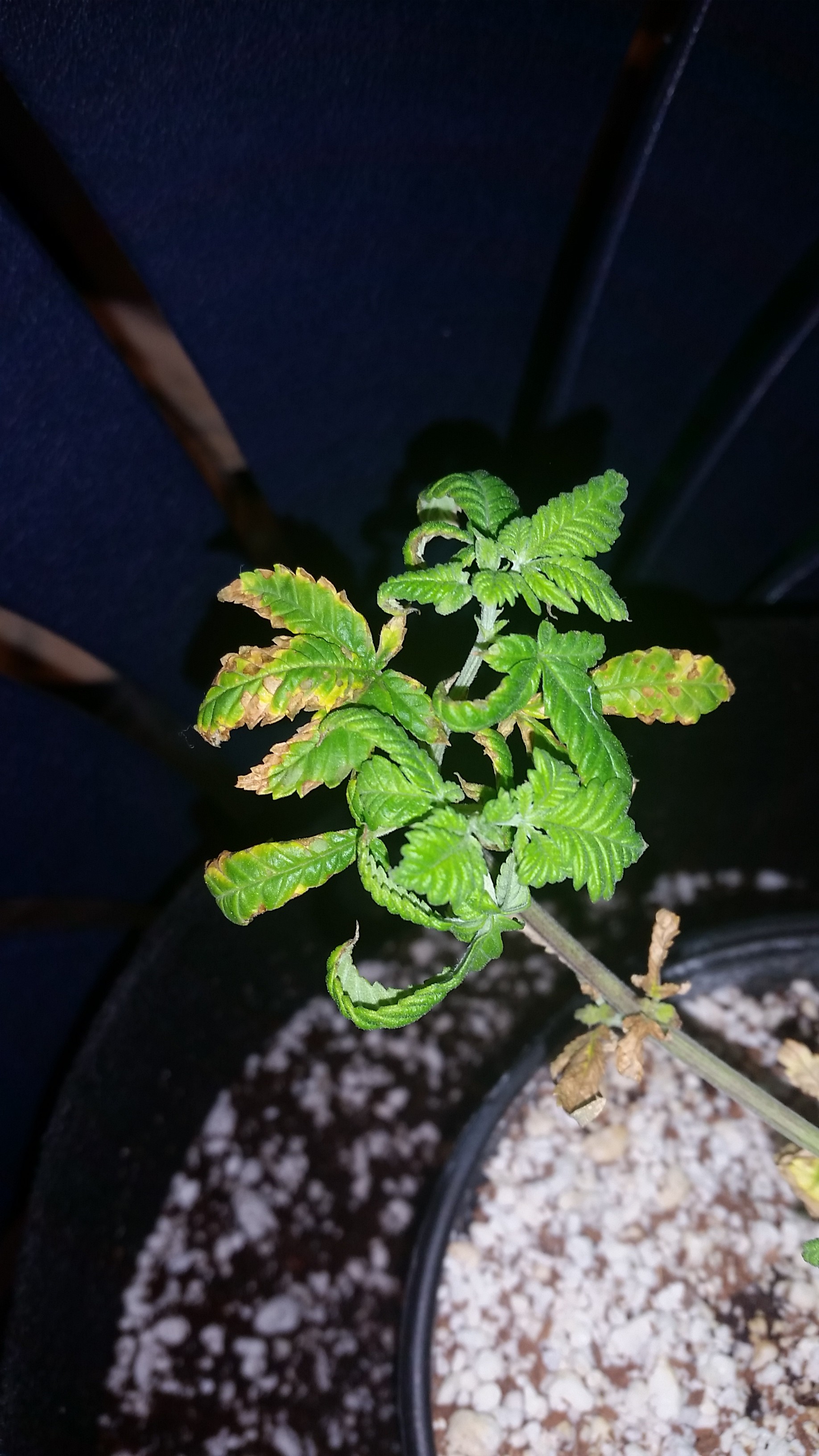 20171028_000137.jpg
