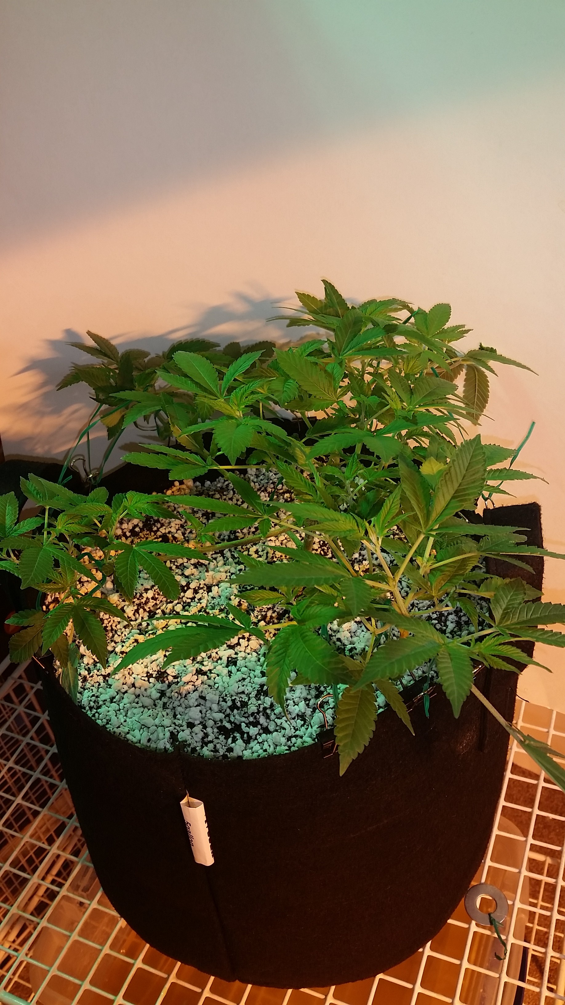 20171110_215751.jpg