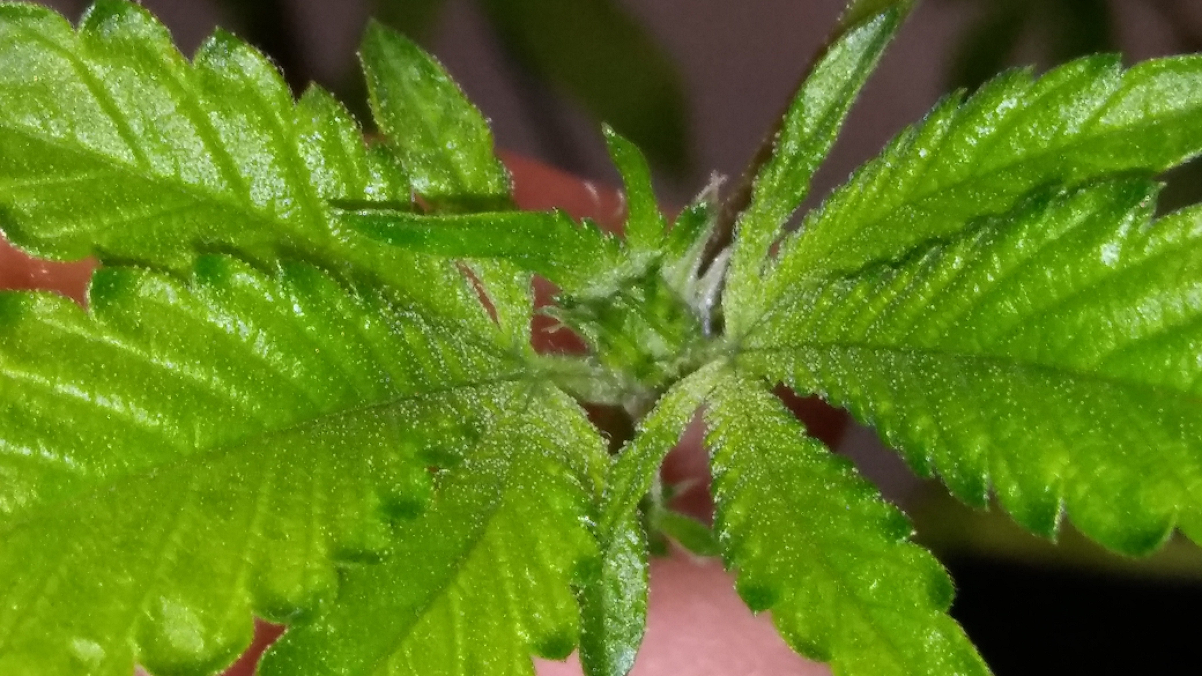 20171124_185156.jpg