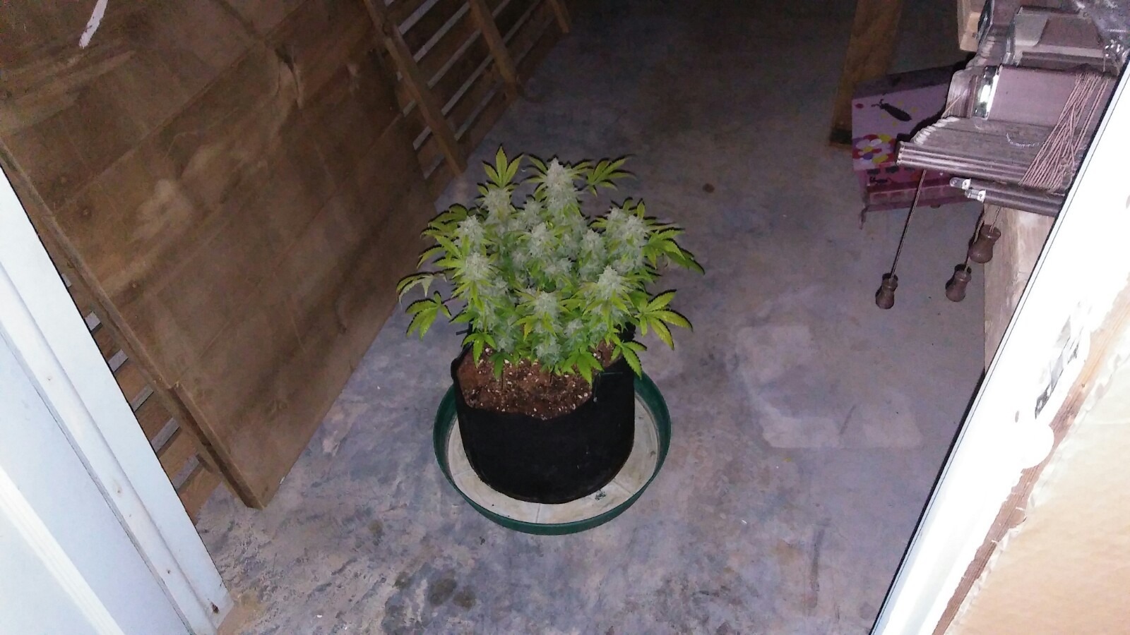 20171128_190151.jpg