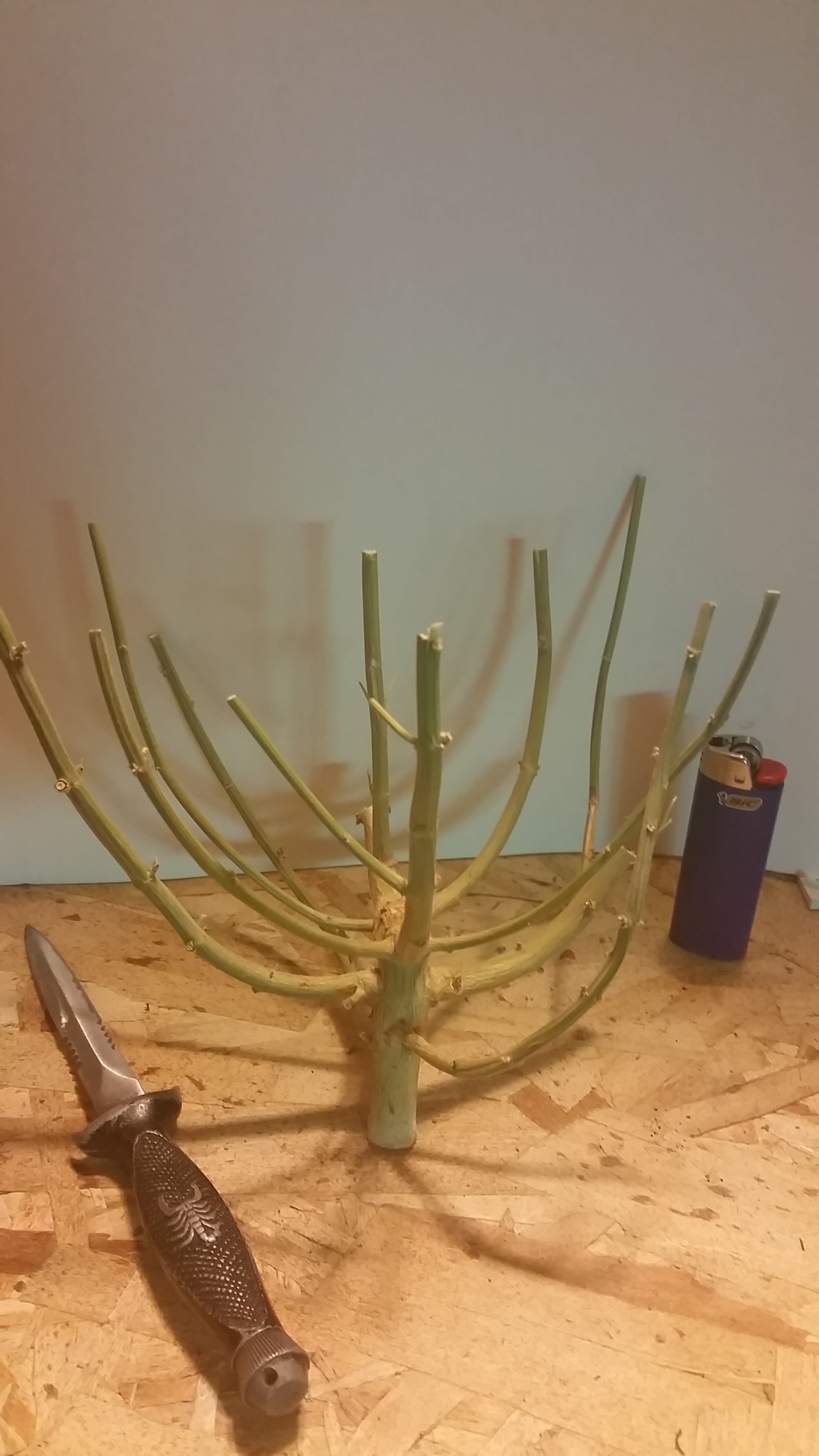 20171201_214740.jpg