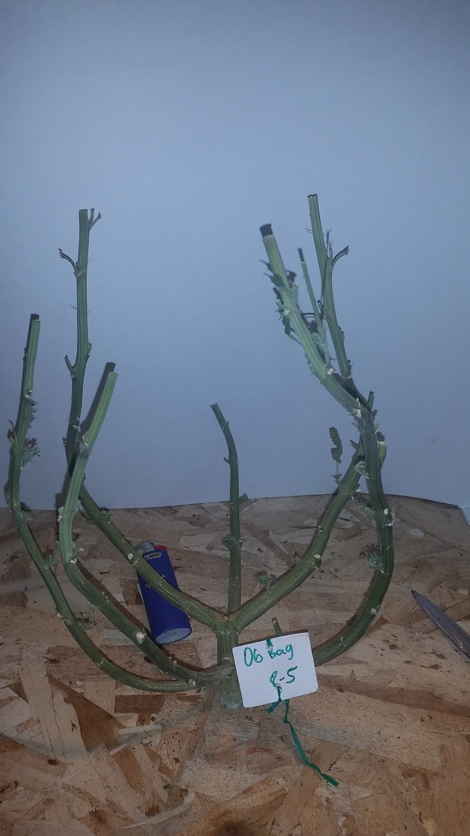 20171201_215139.jpg