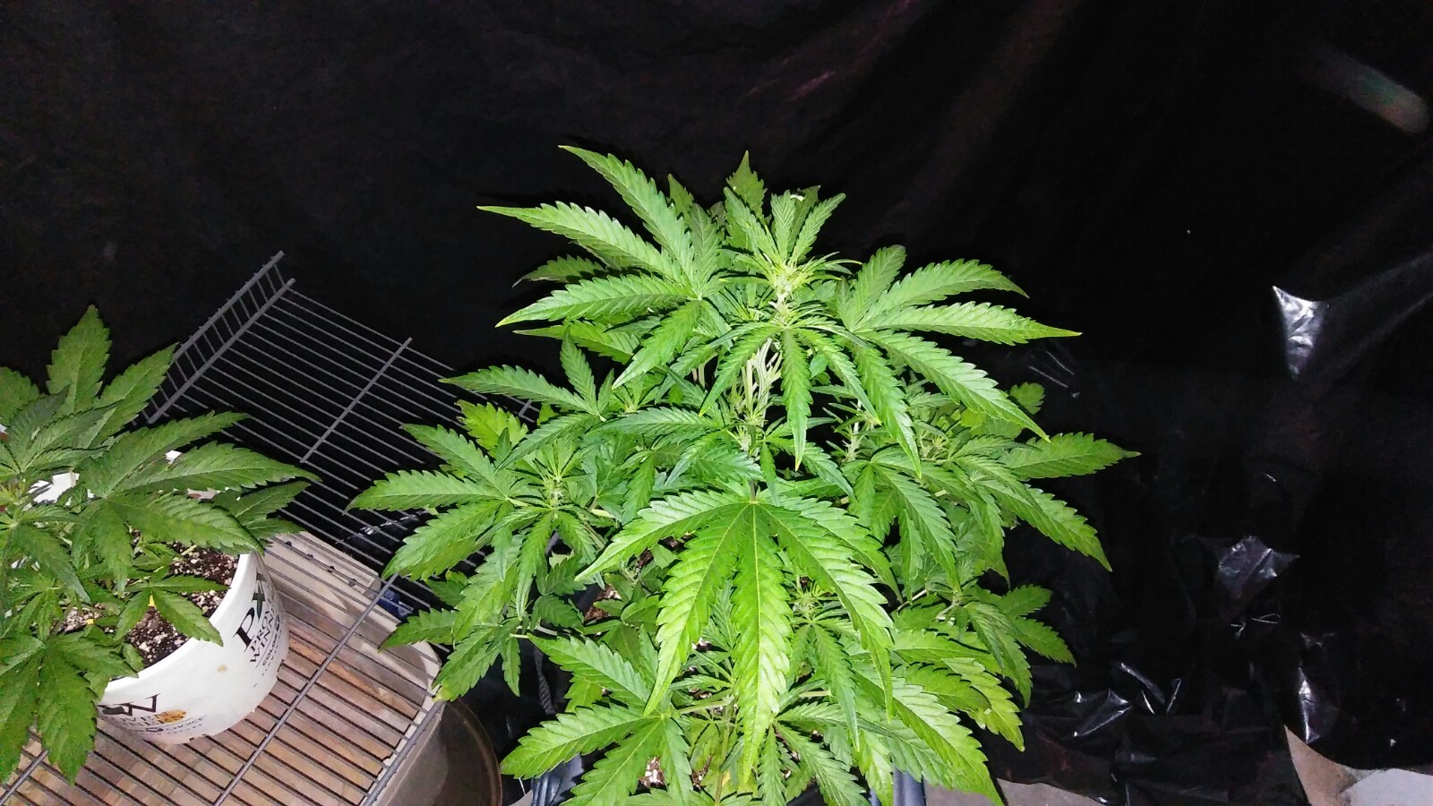 20171205_143953.jpg