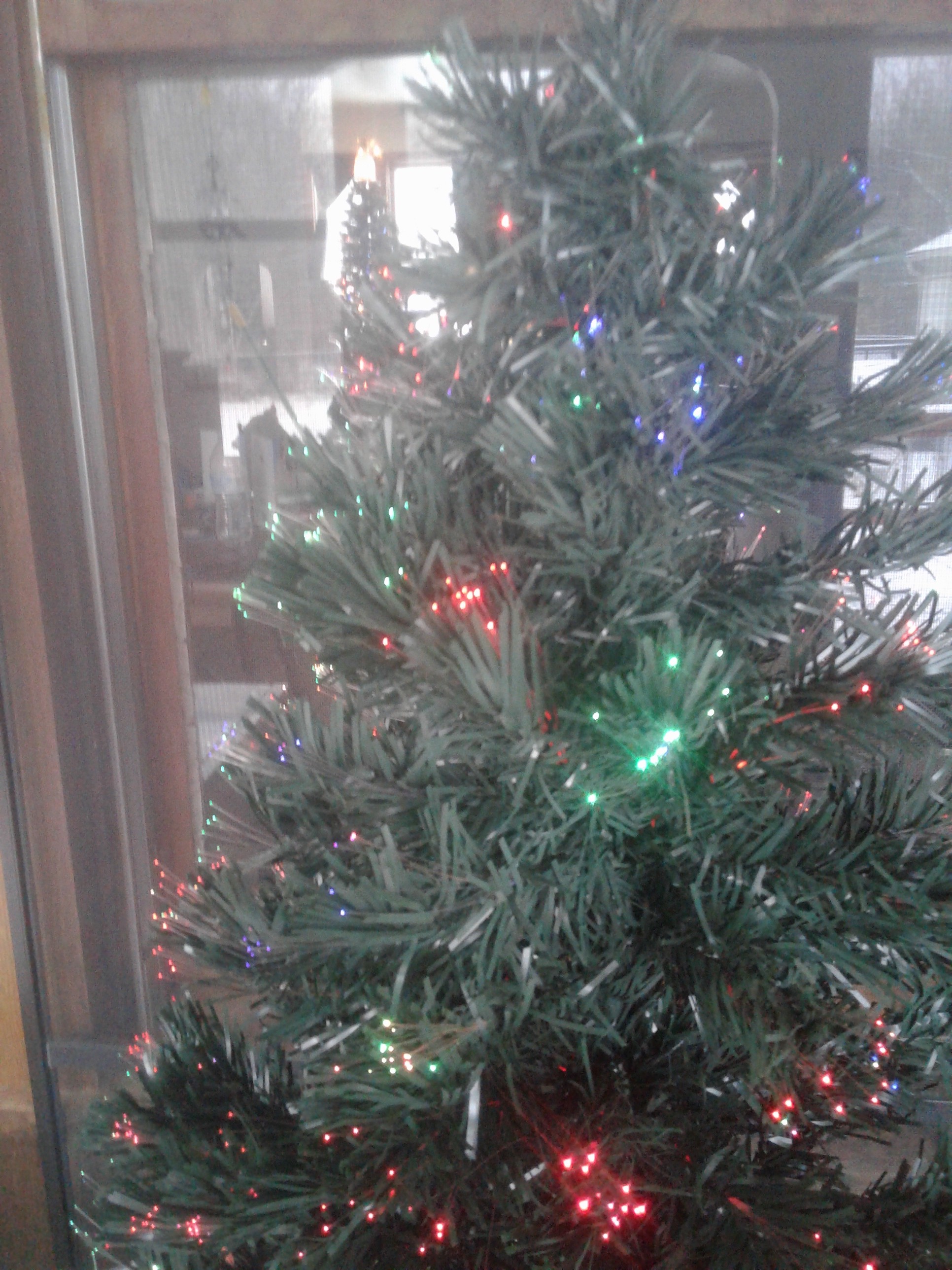 20171224_081132.jpg