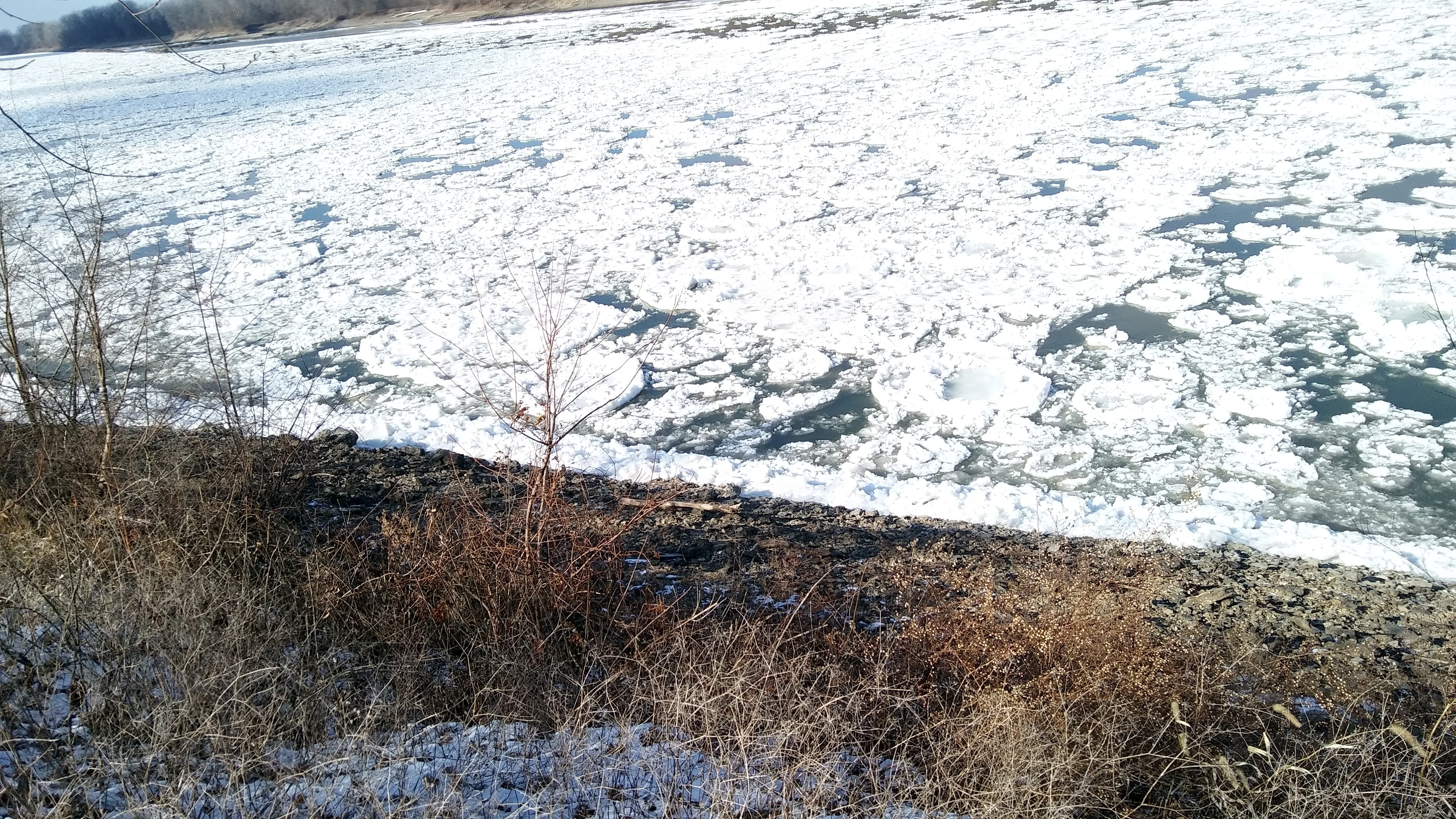 20180103_123518_HDR.jpg