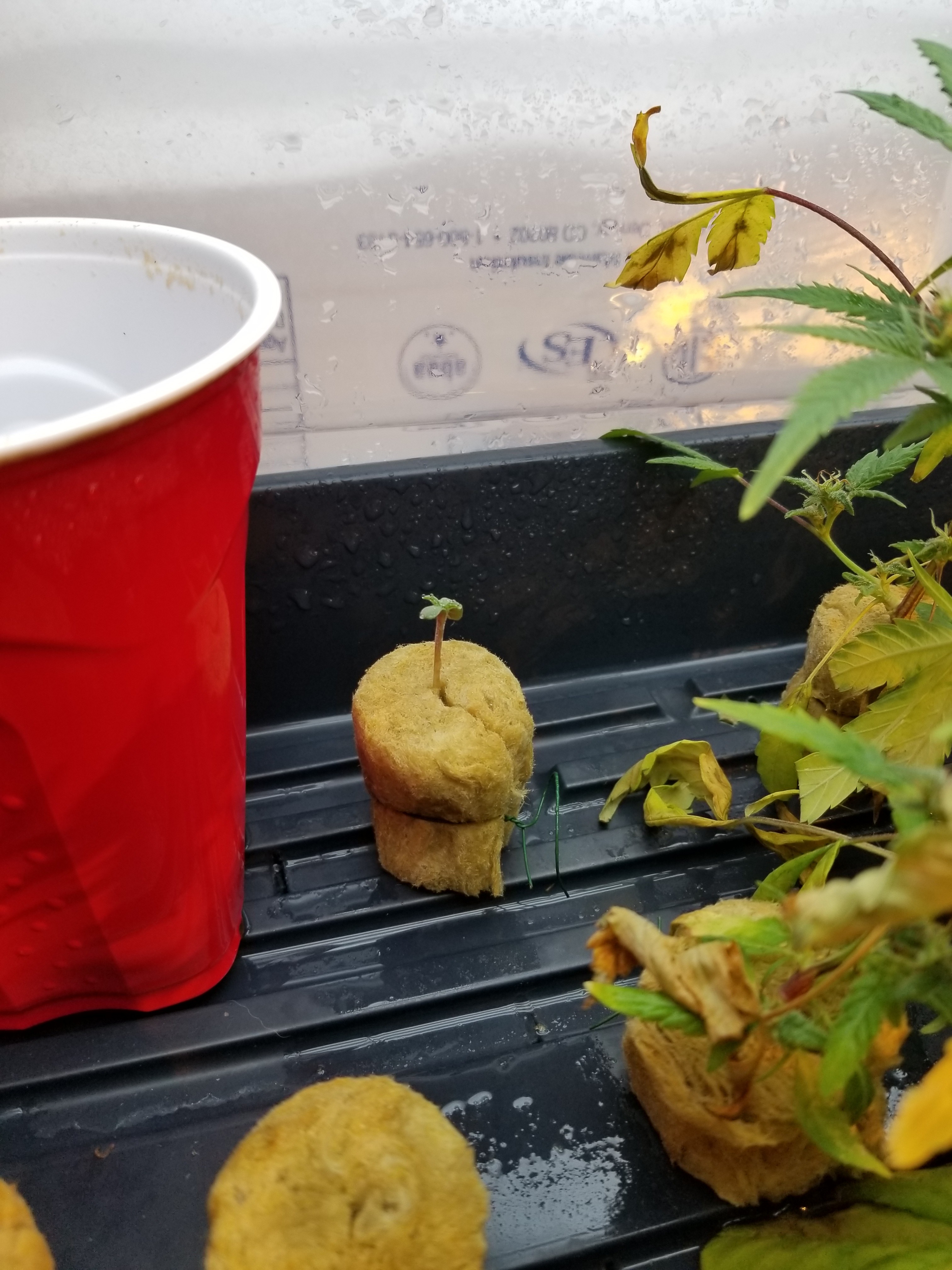 20180306_231532.jpg