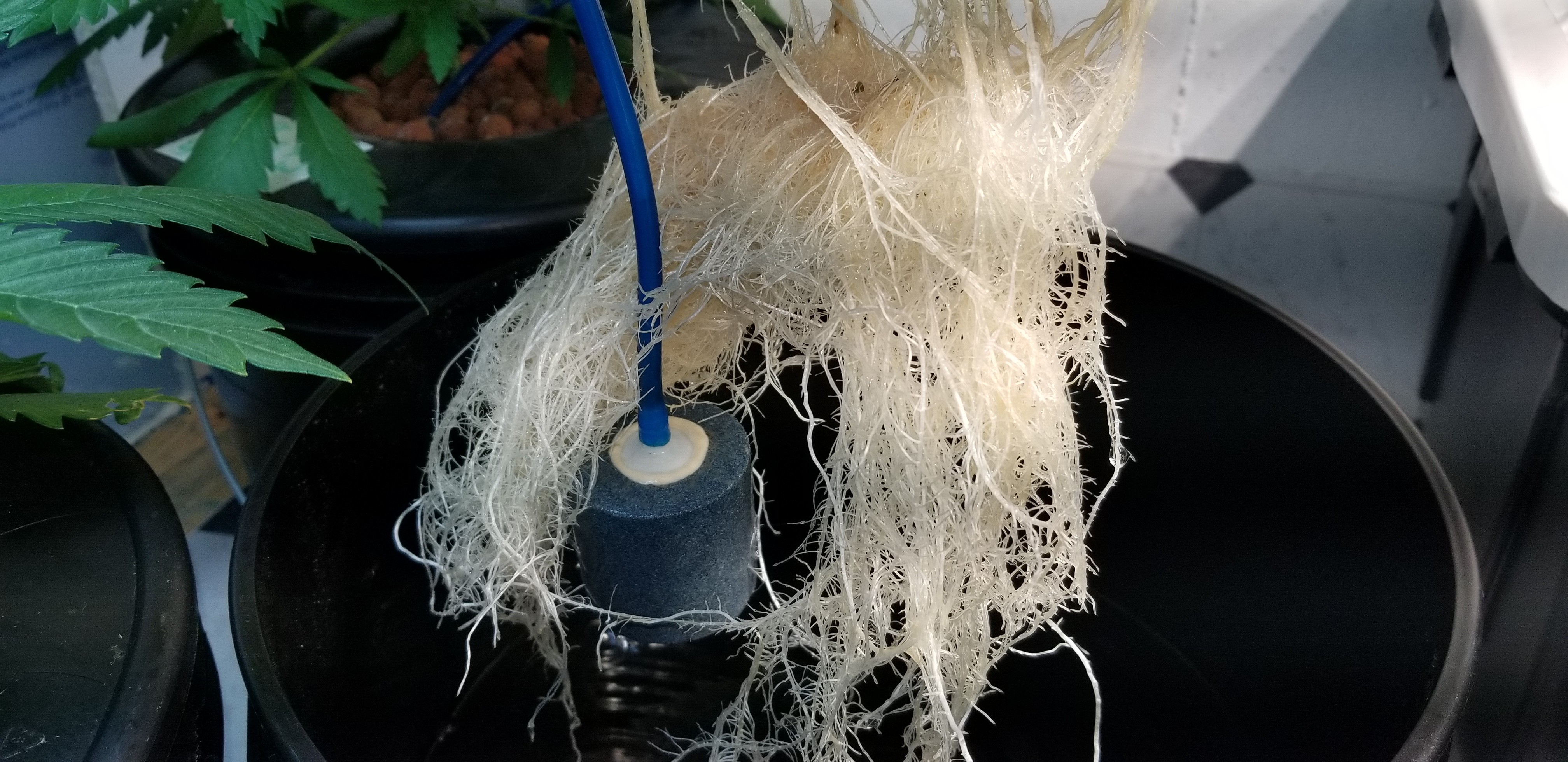20180408_013613.jpg