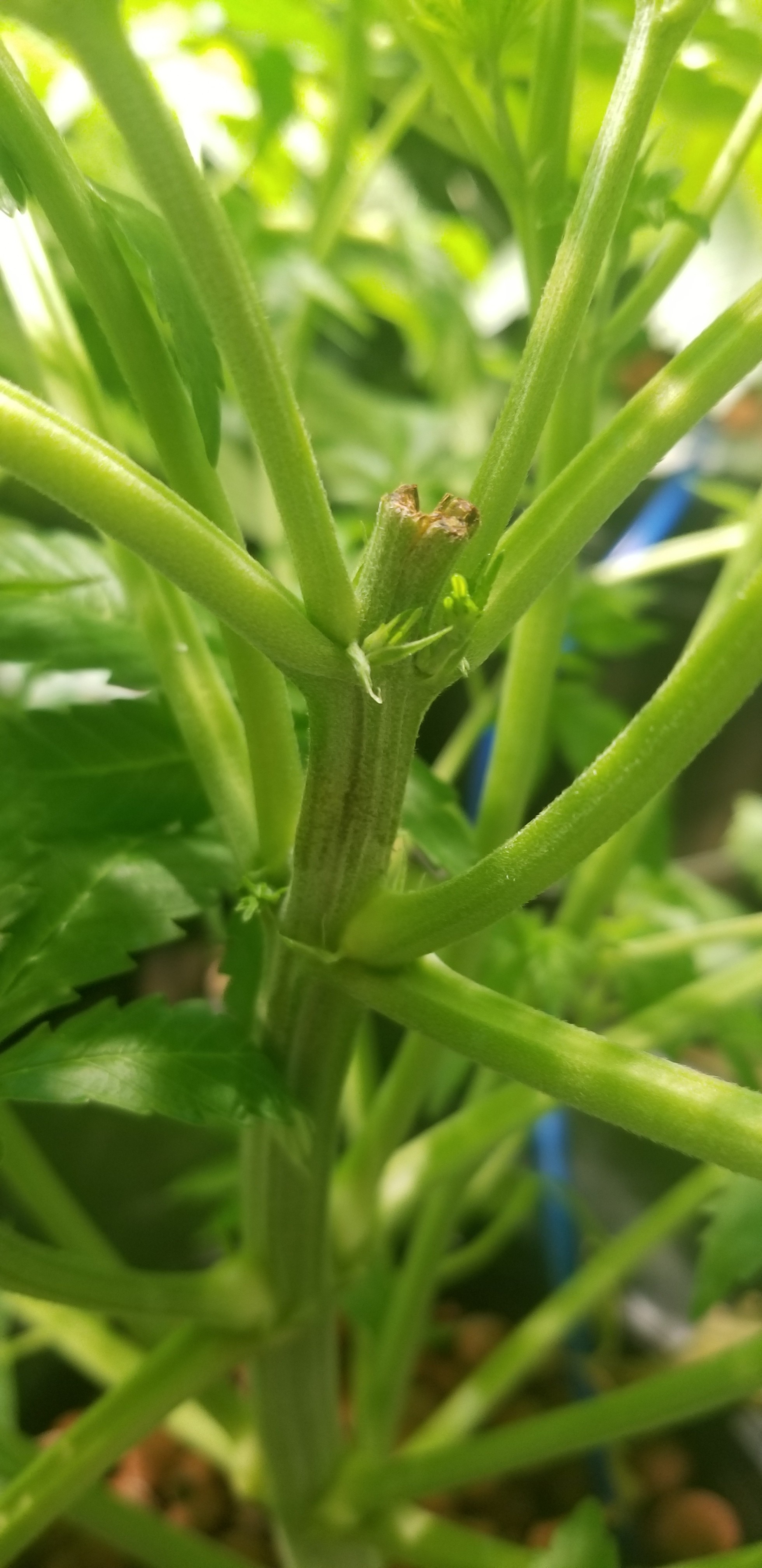 20180419_163227.jpg