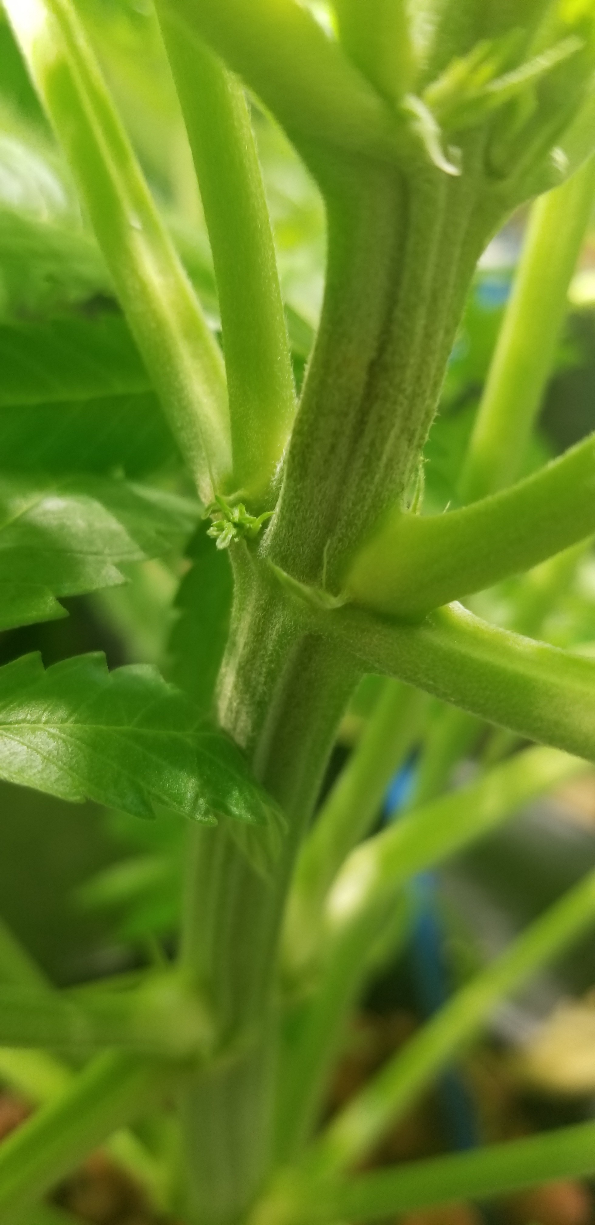 20180419_163237.jpg