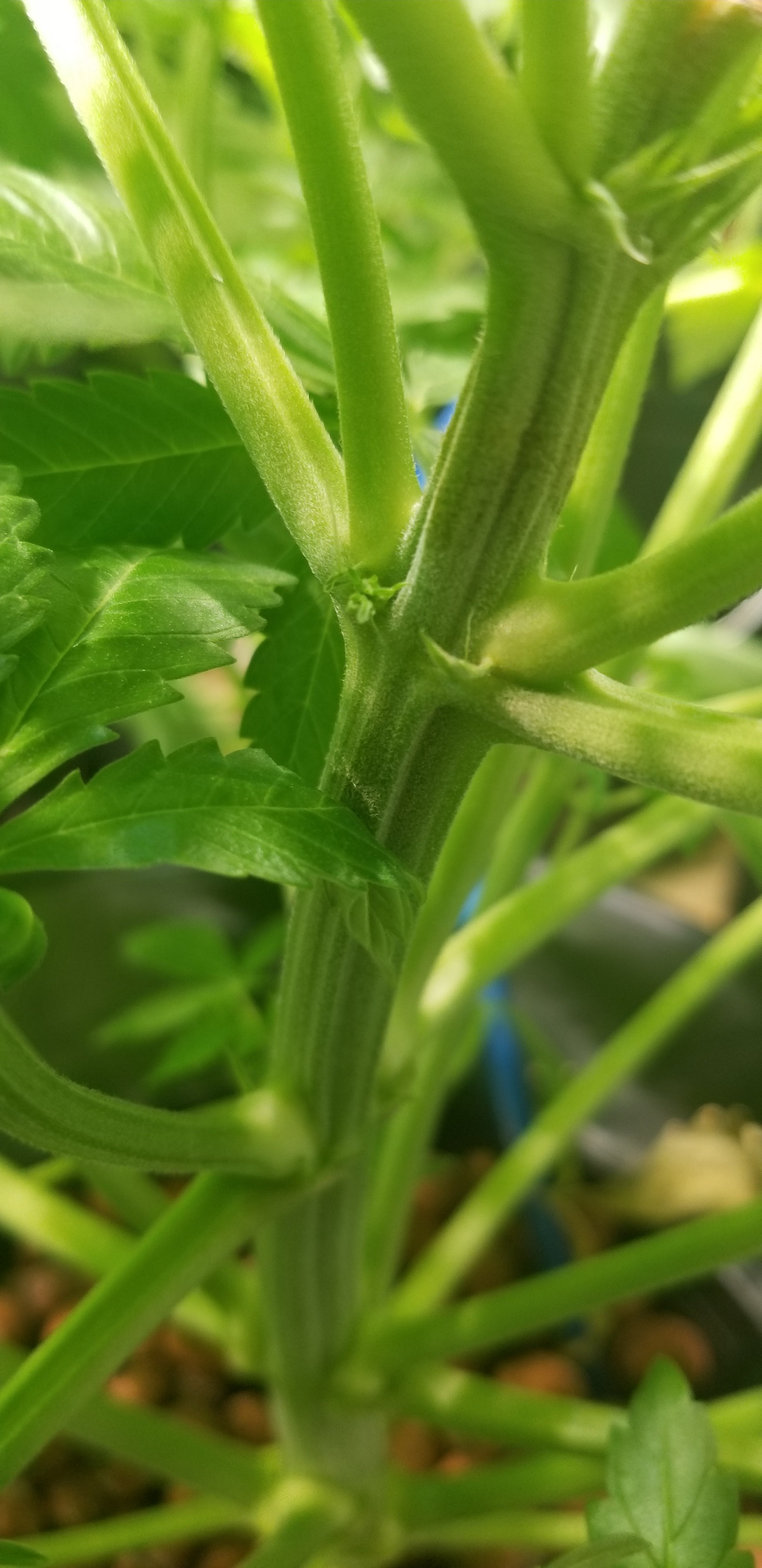 20180419_163248.jpg