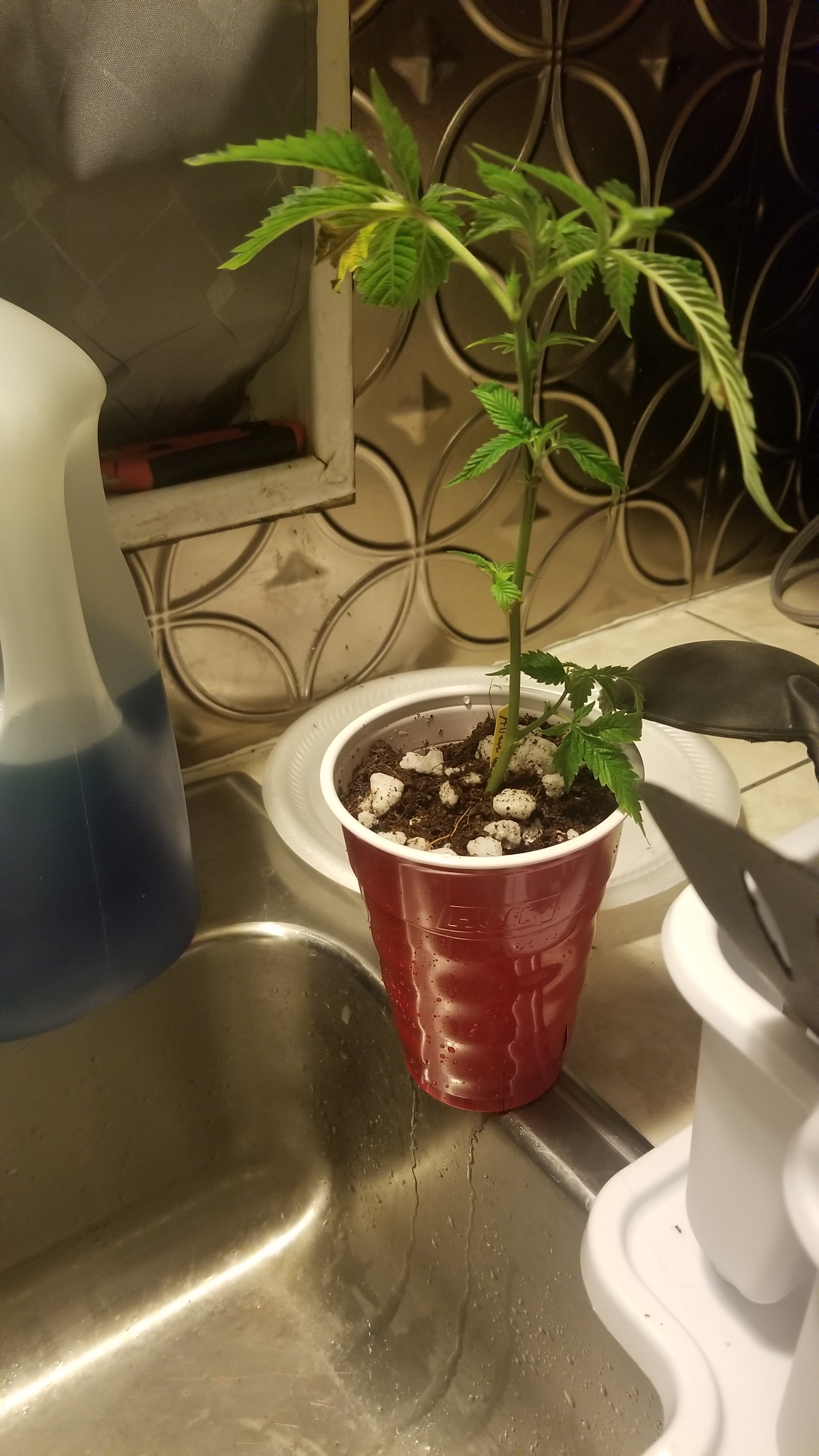 20180521_221814.jpg