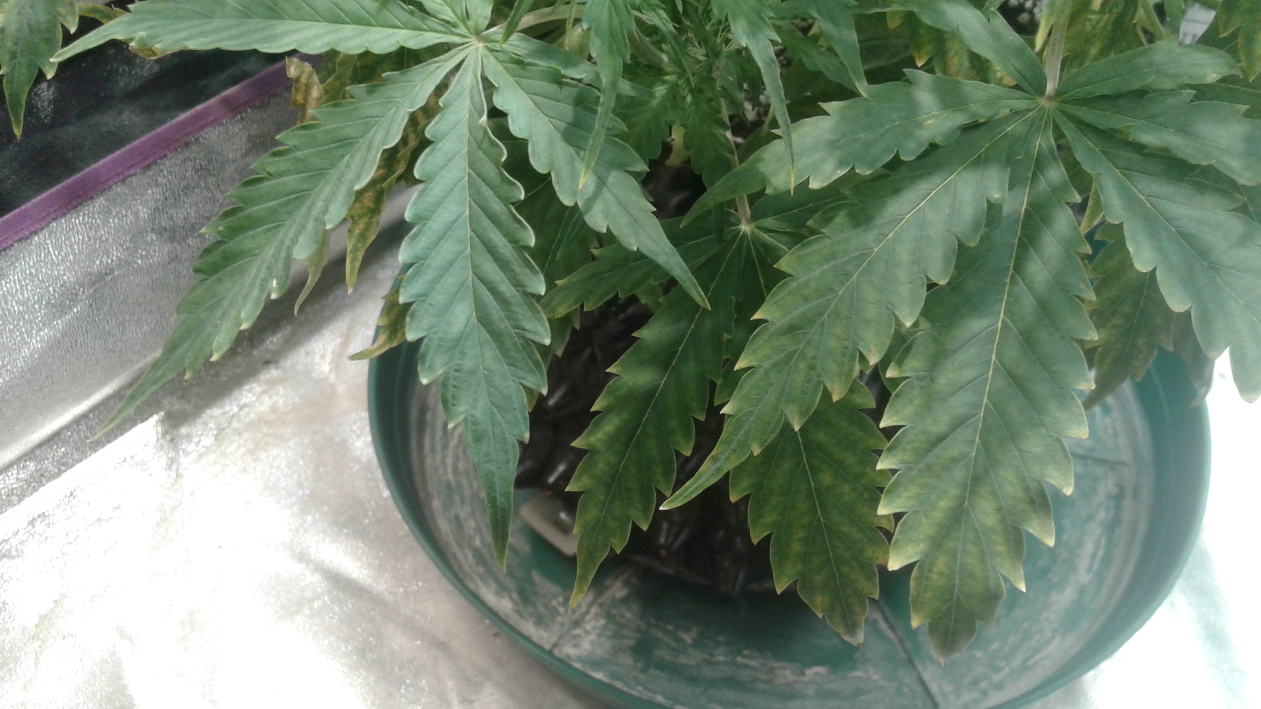 20180605_095914.jpg