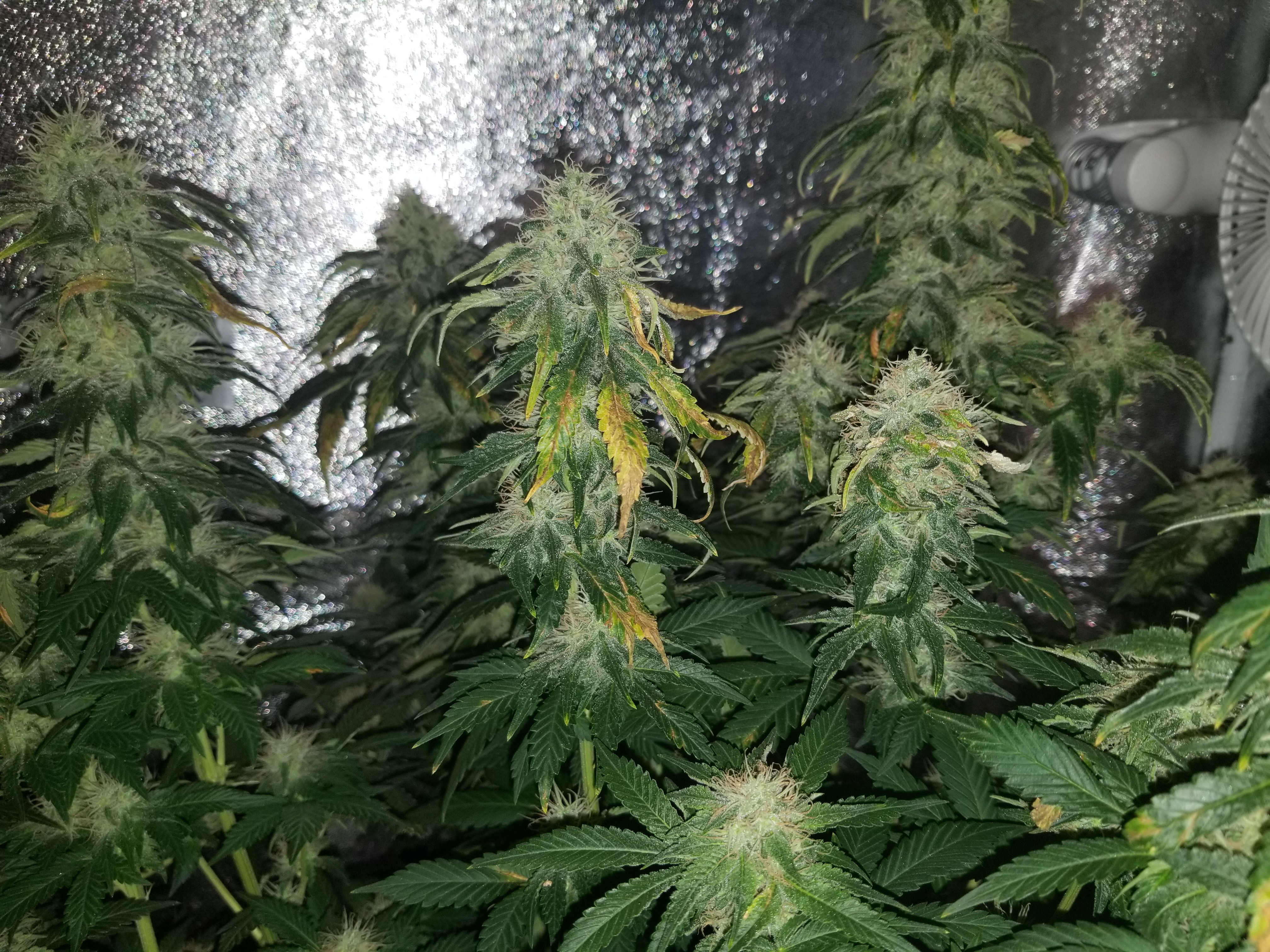 20180628_114251.jpg