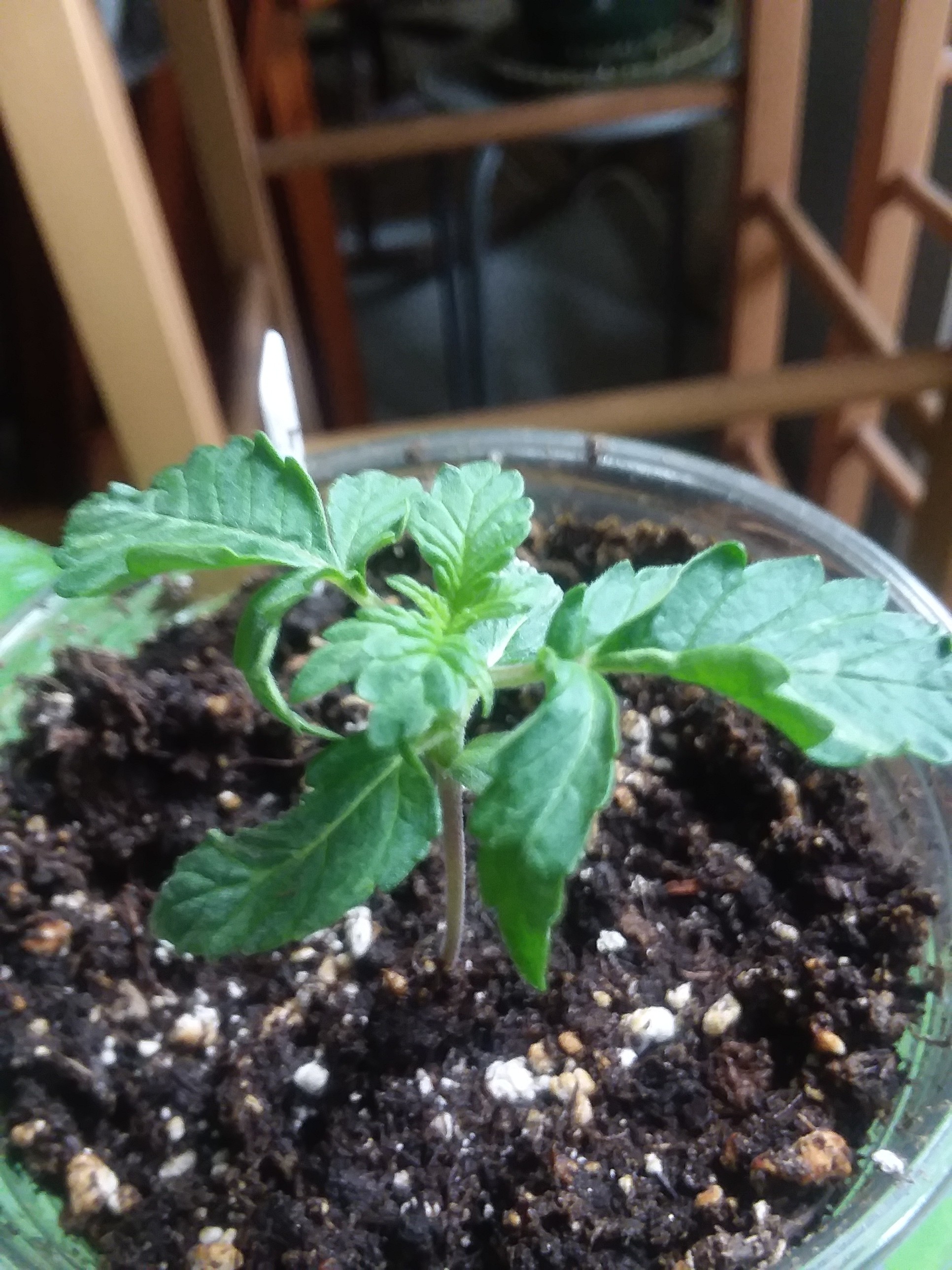 20180706_104844.jpg