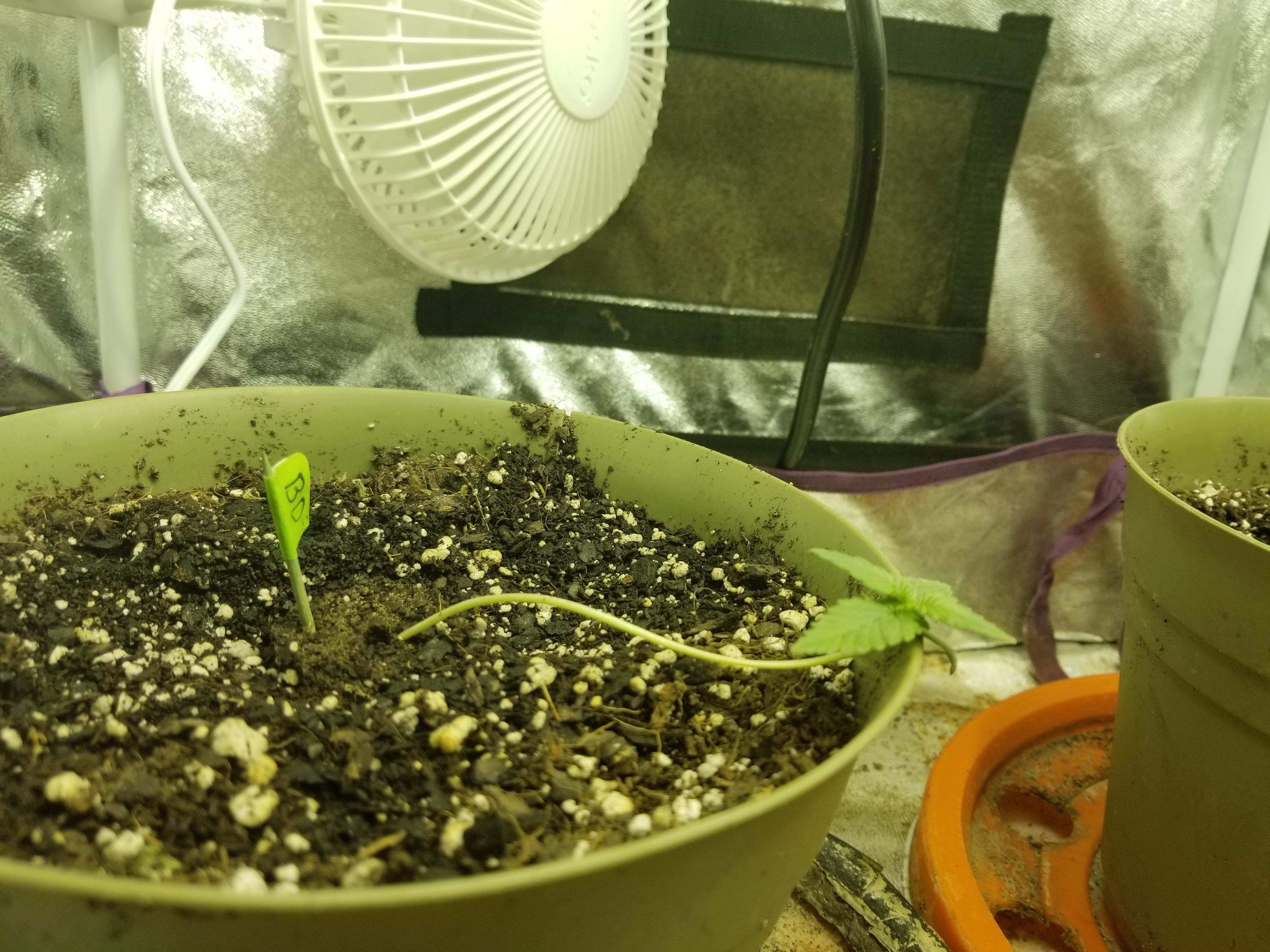 20180718_152514.jpg