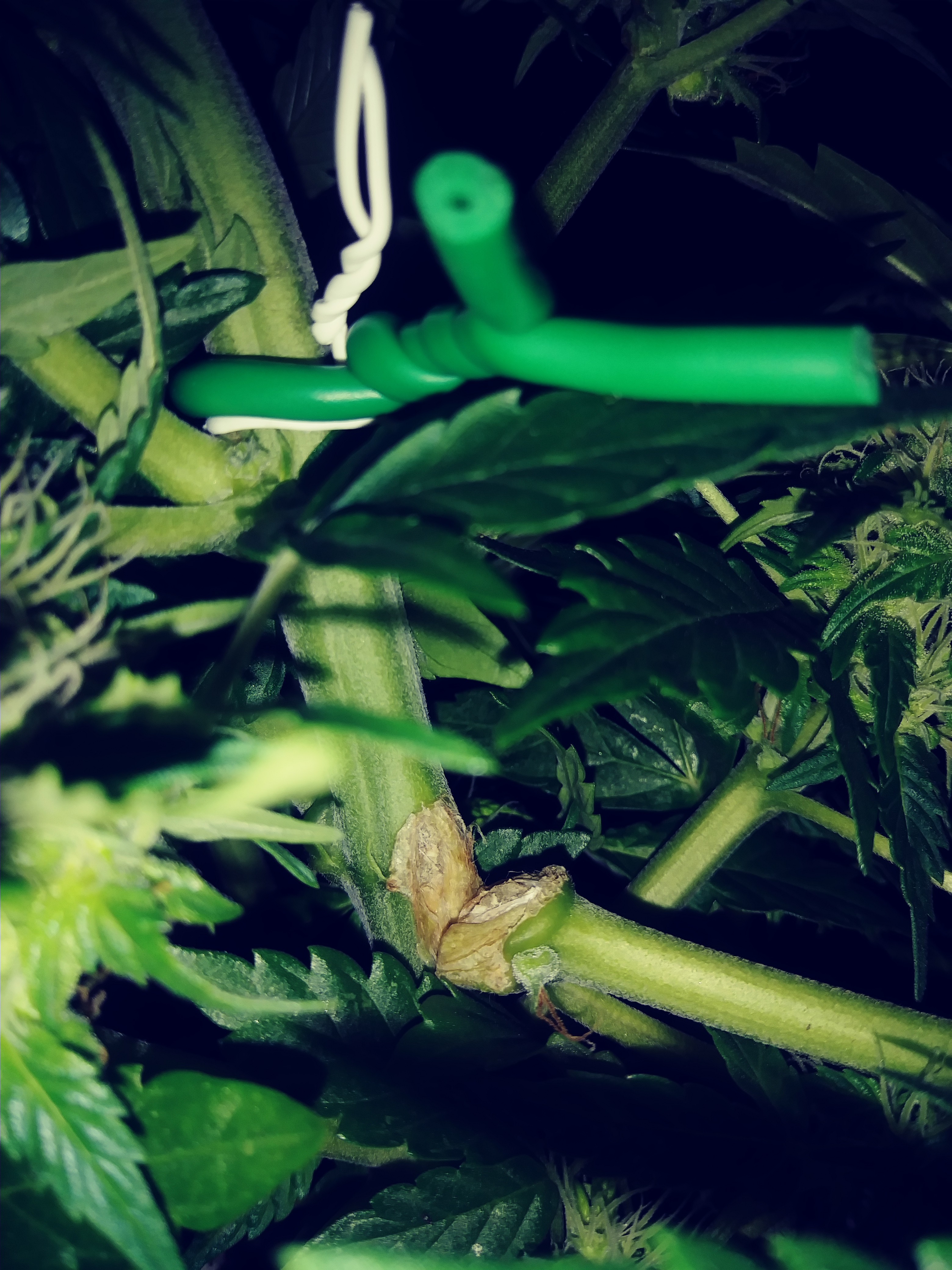 20180720_031525_Film1.jpg