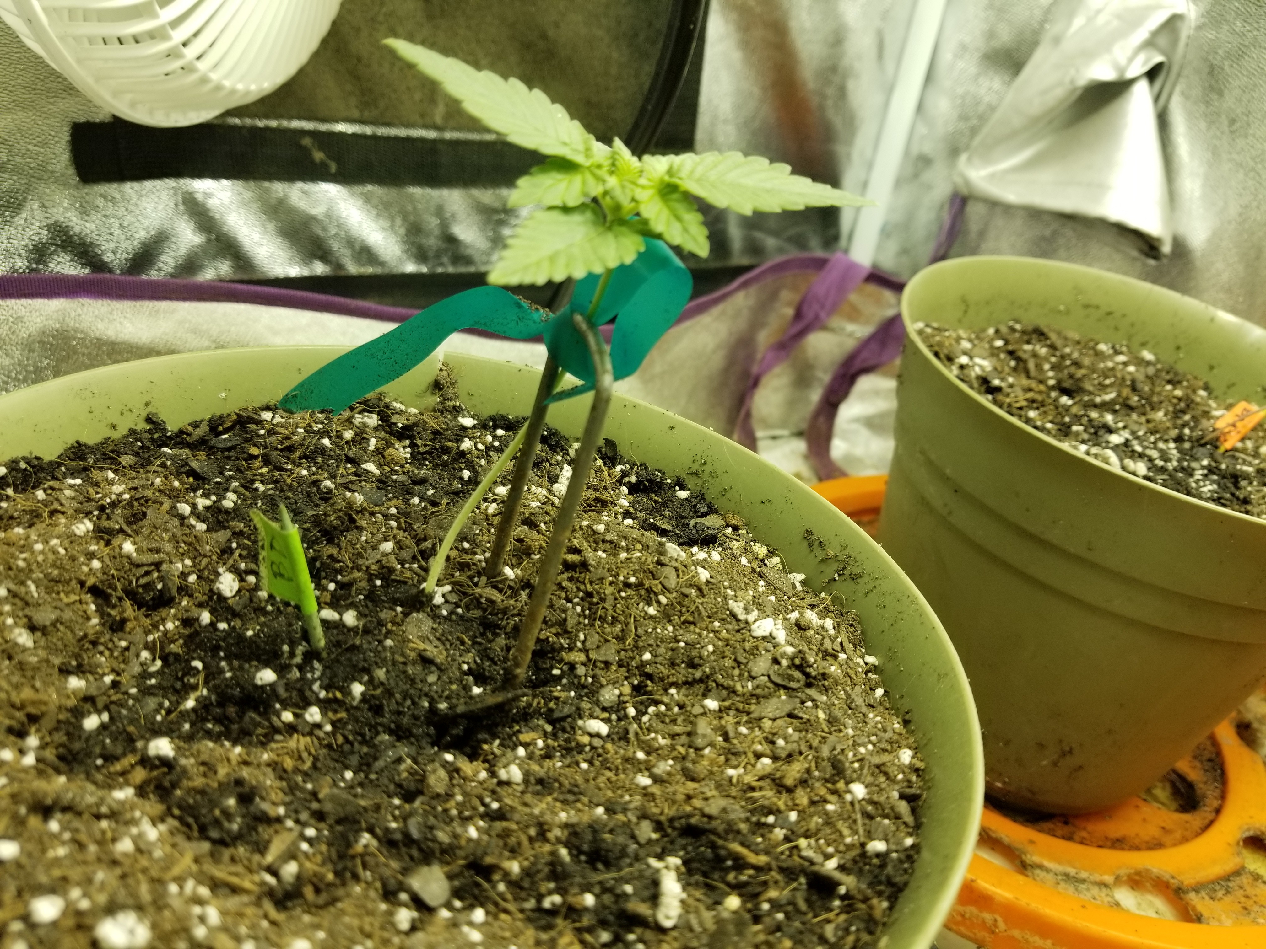 20180720_164220.jpg