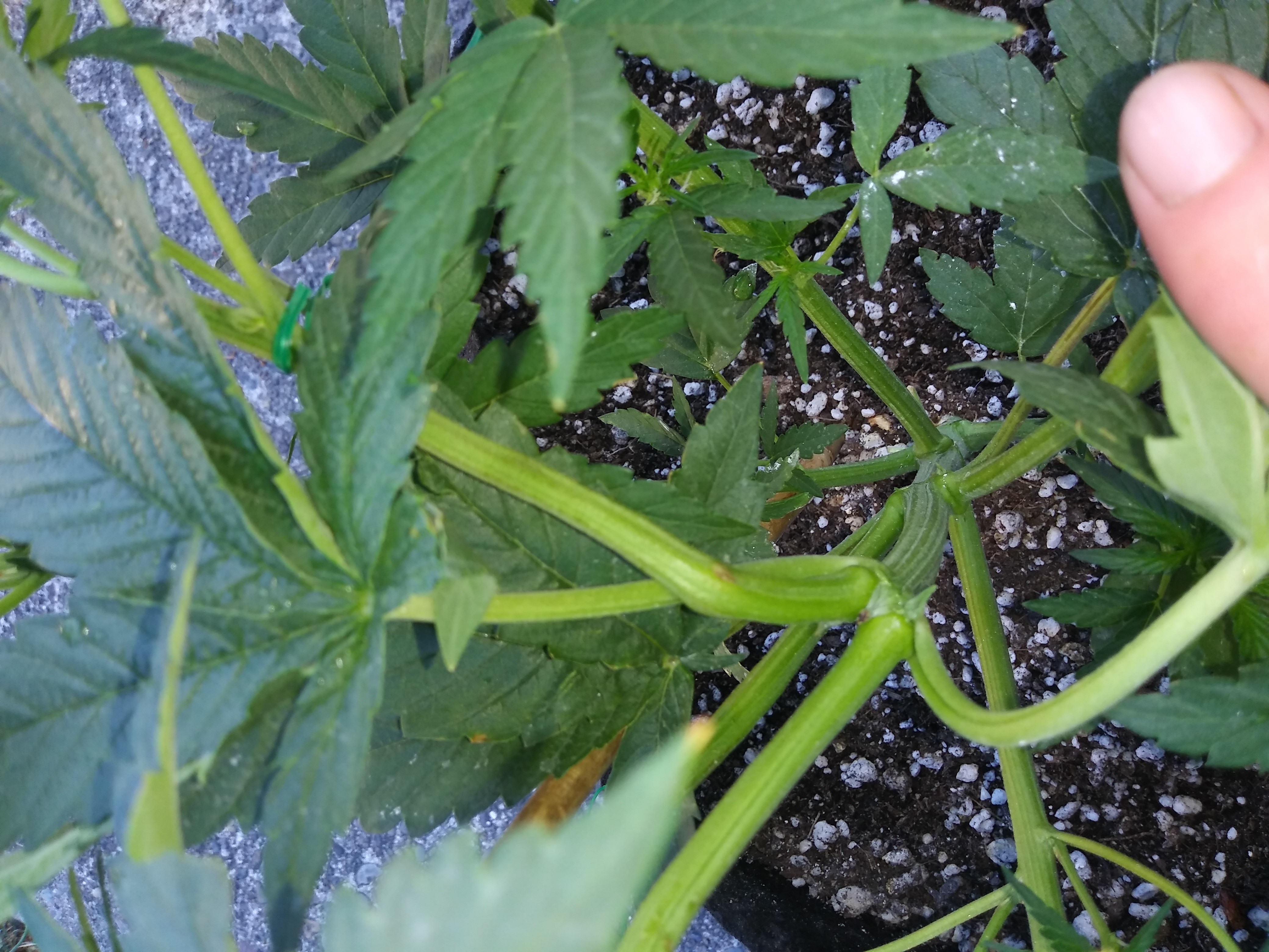 20180722_164129.jpg