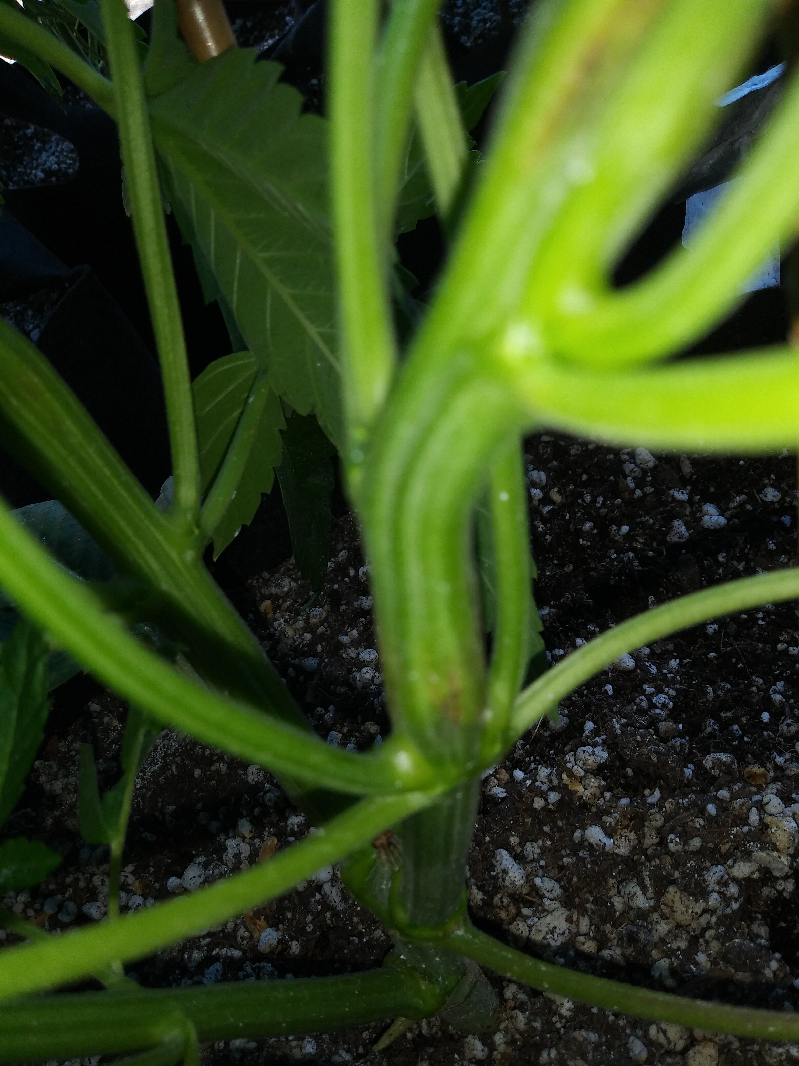 20180722_164141.jpg