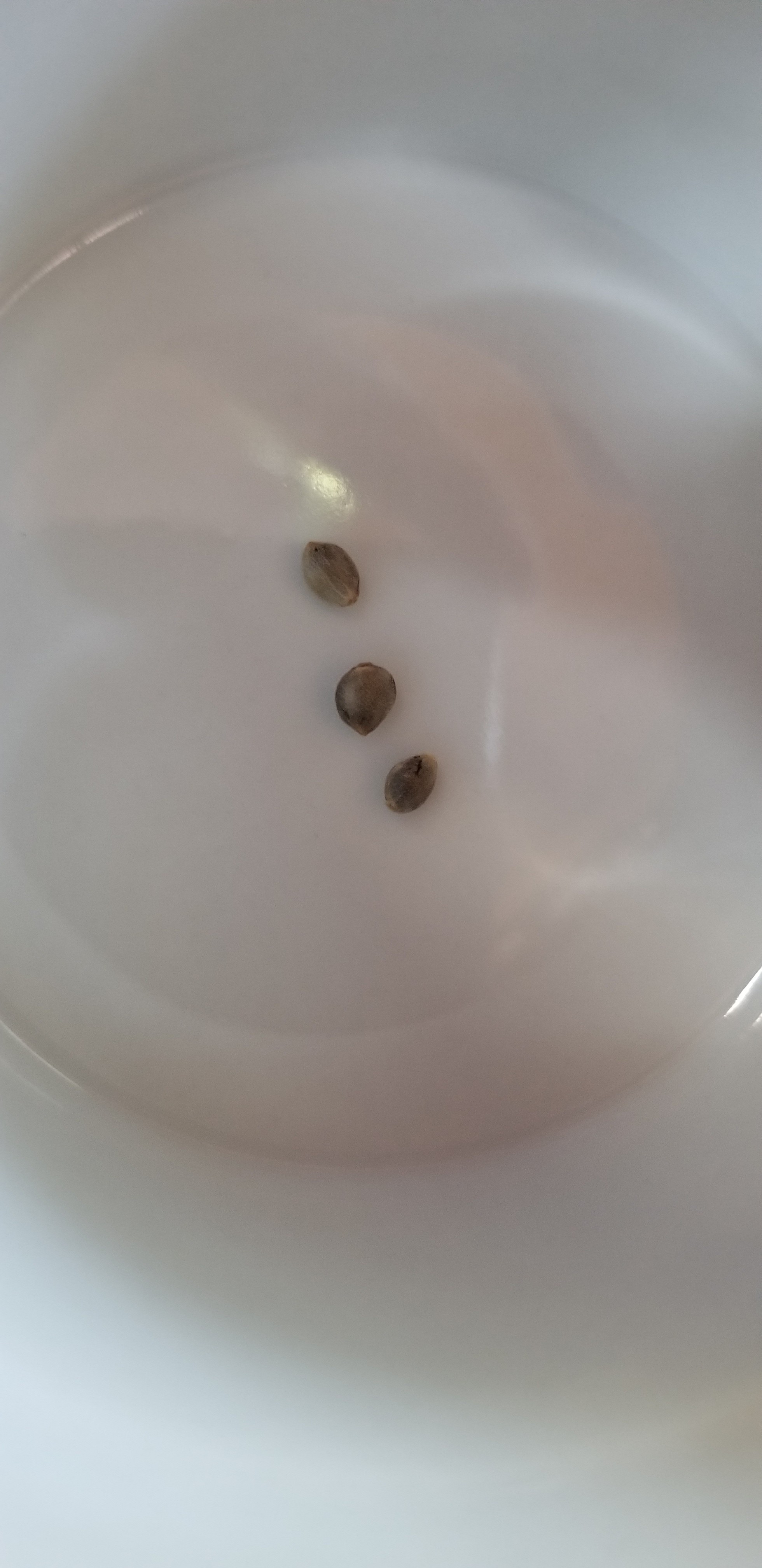 20180811_112830.jpg