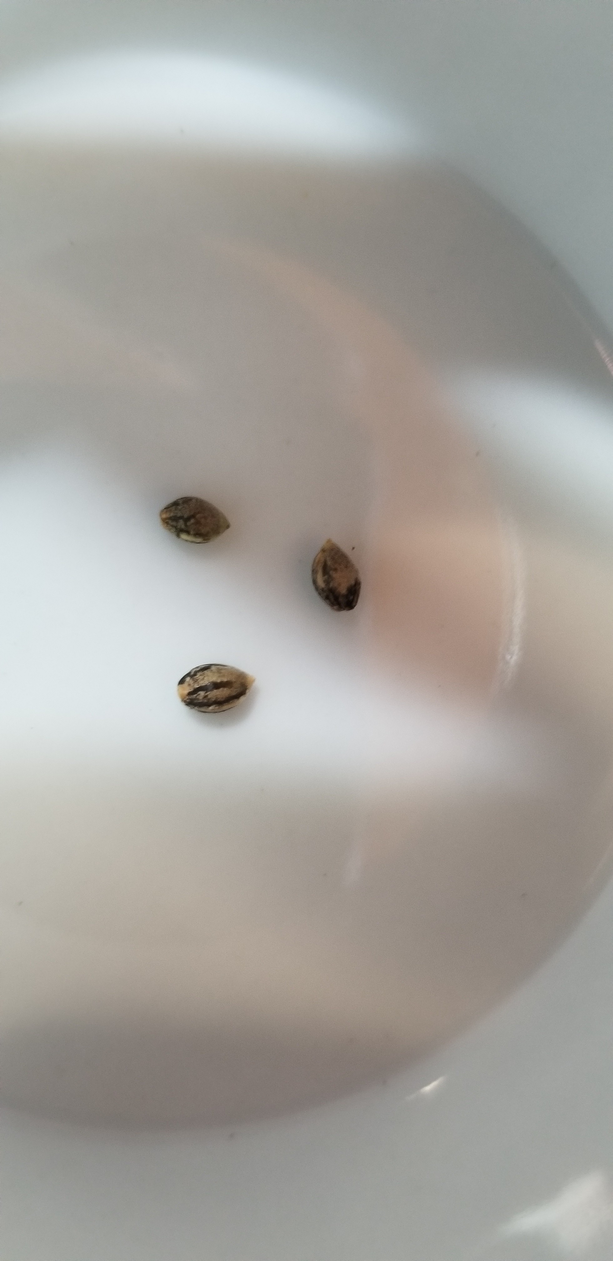 20180811_113327.jpg