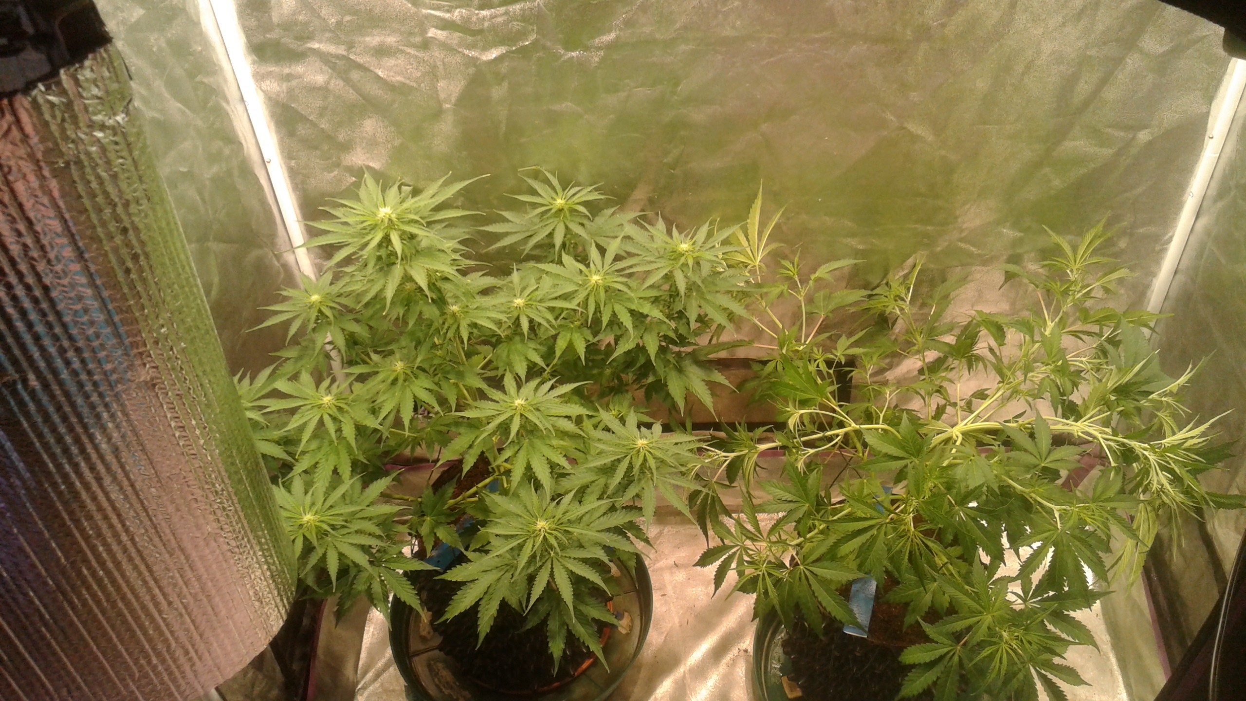 20180813_103155.jpg