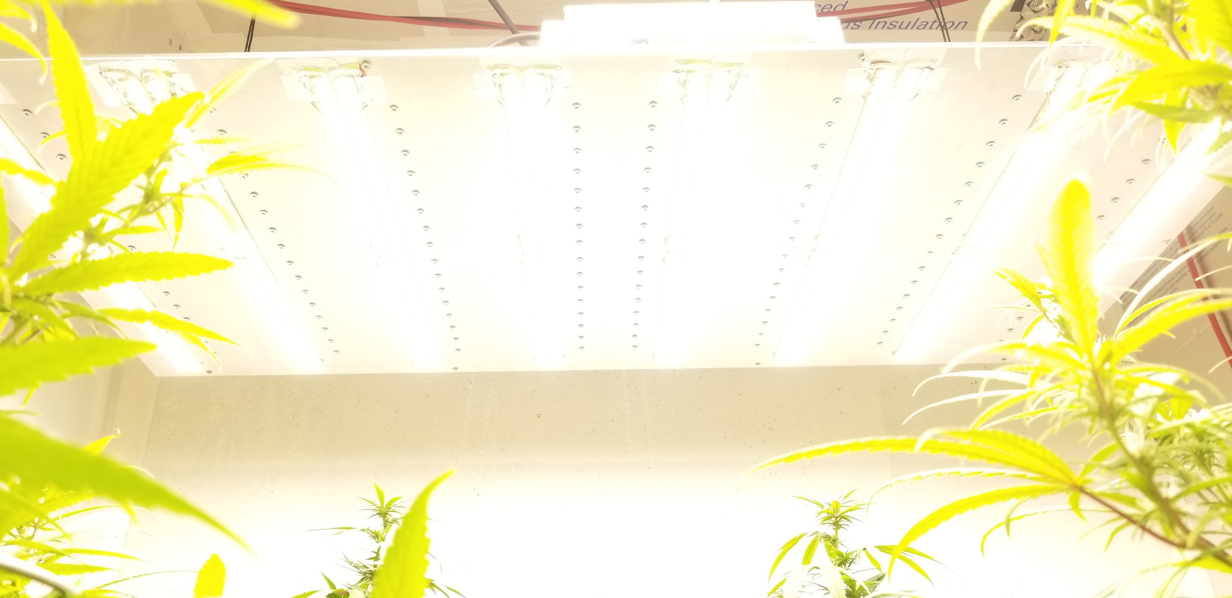 20180815_204340.jpg