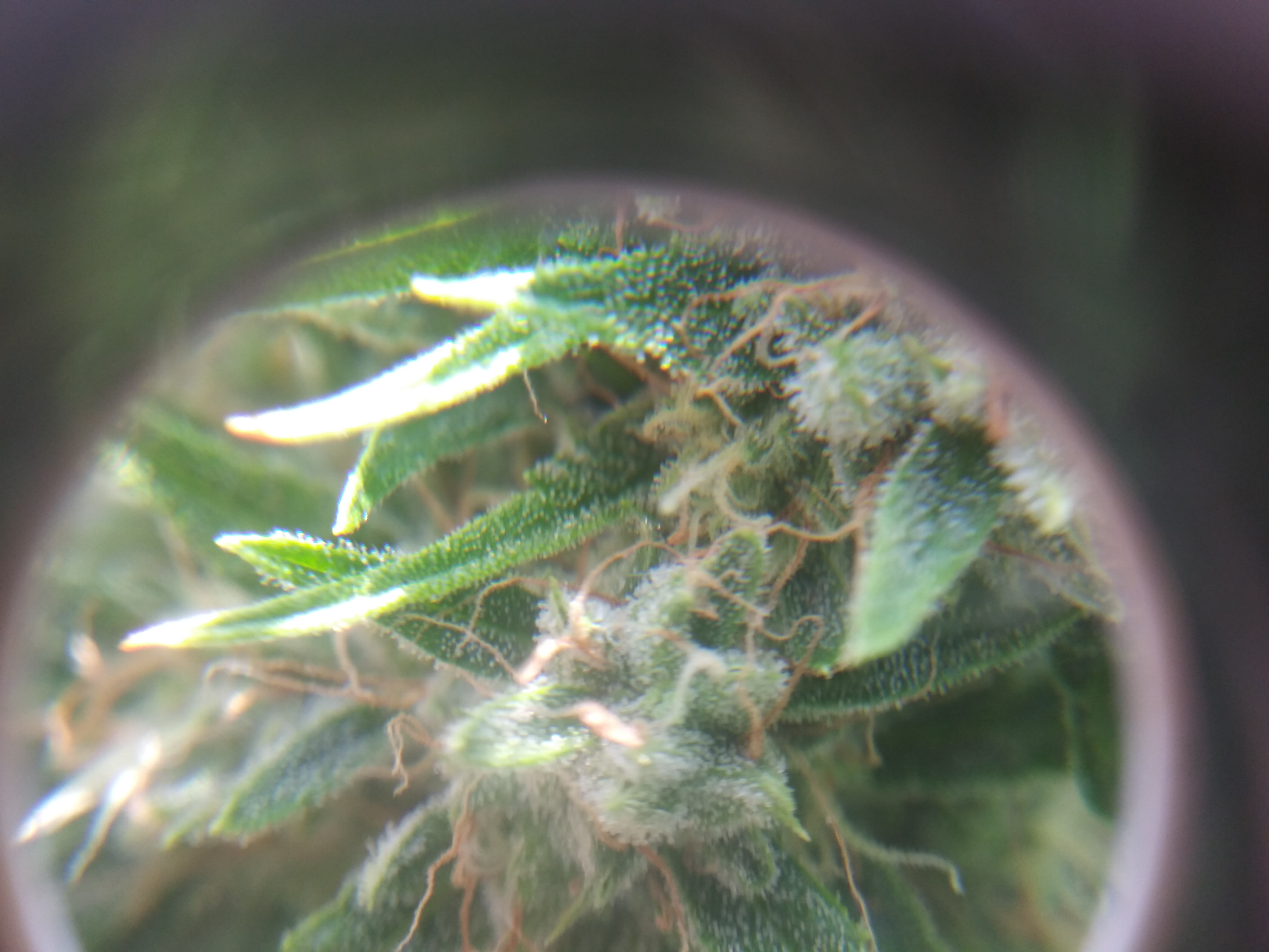 20180816_132339.jpg
