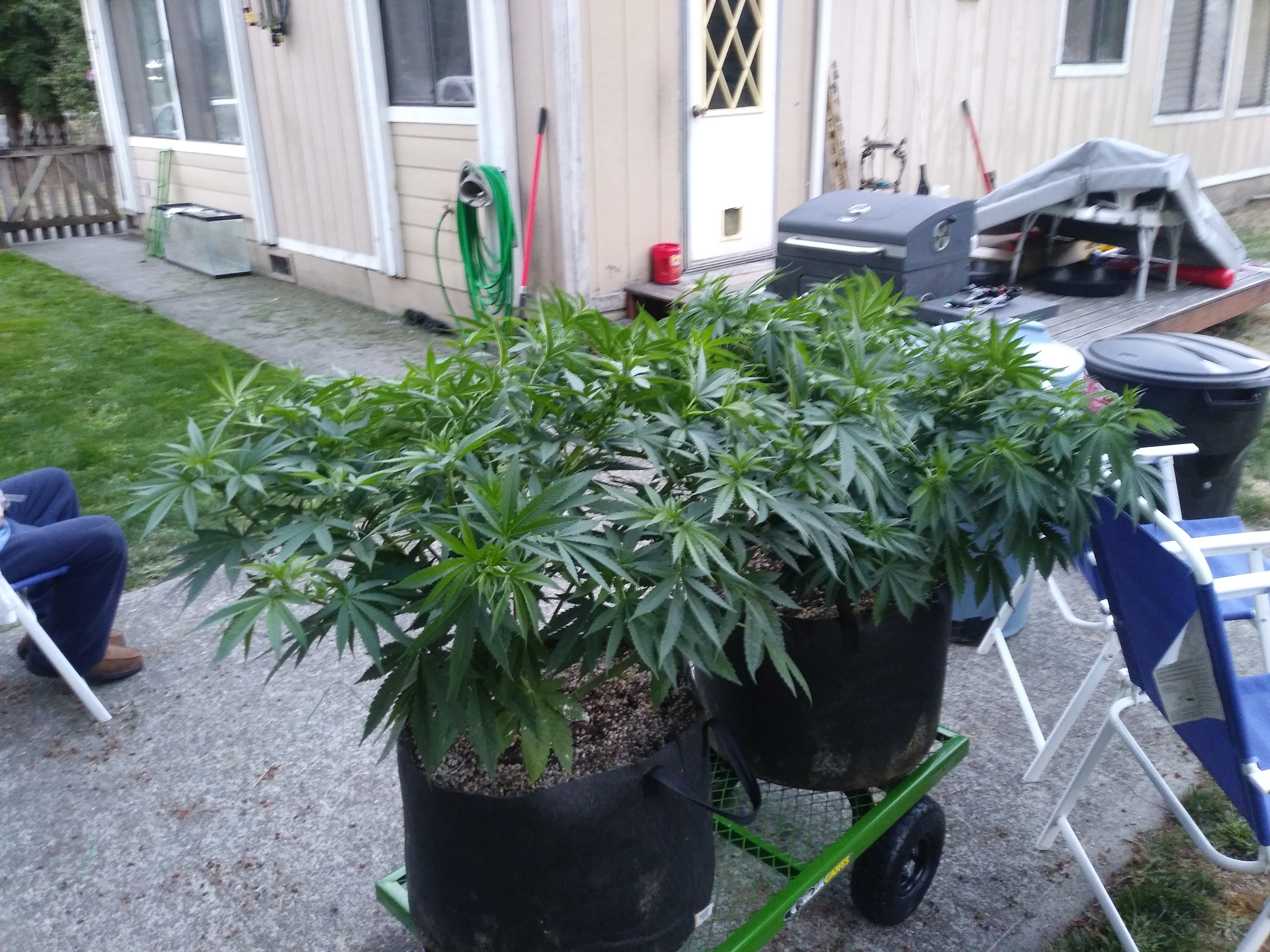 20180817_201232.jpg