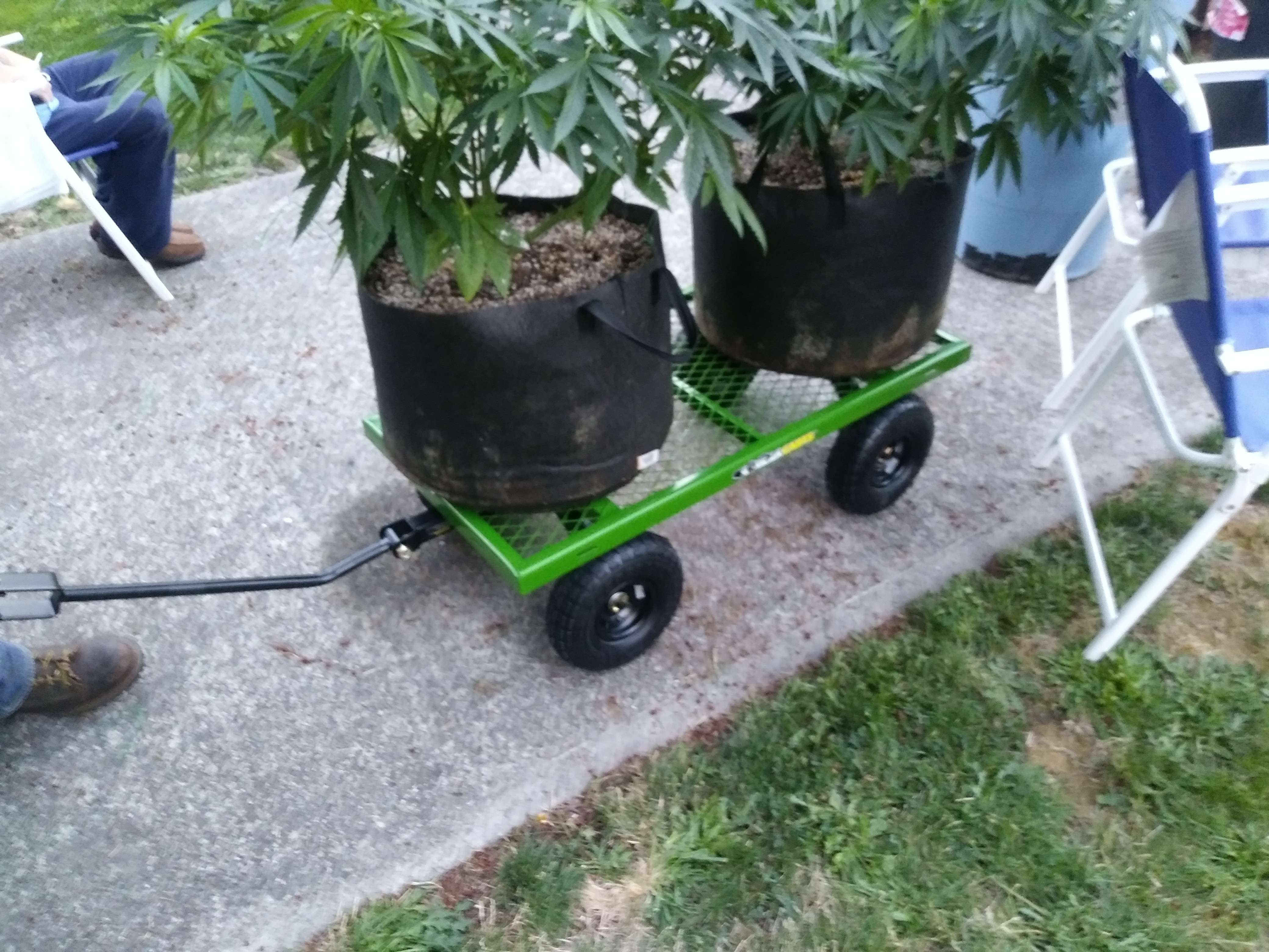 20180817_201248.jpg