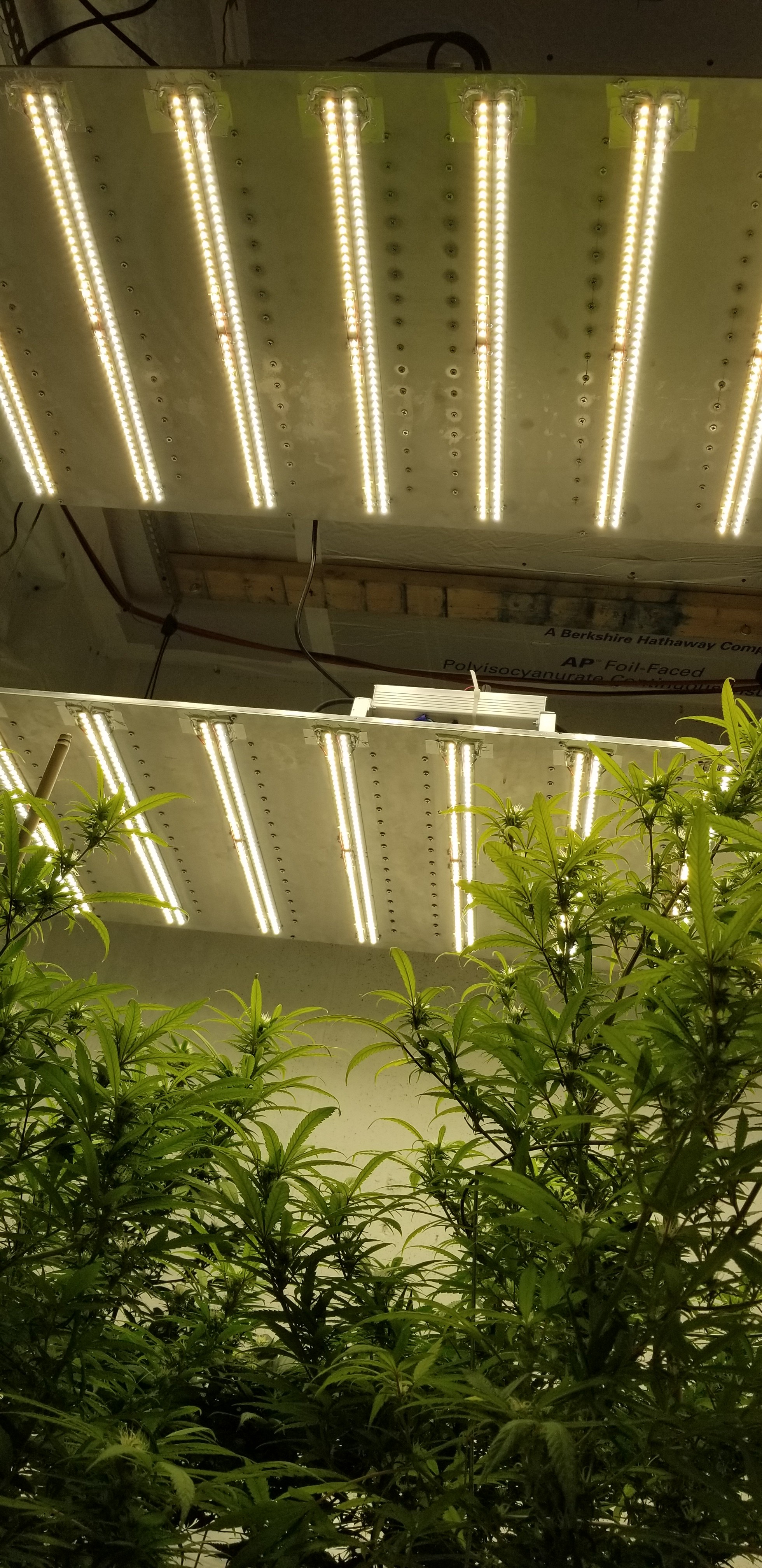 20180820_200232.jpg