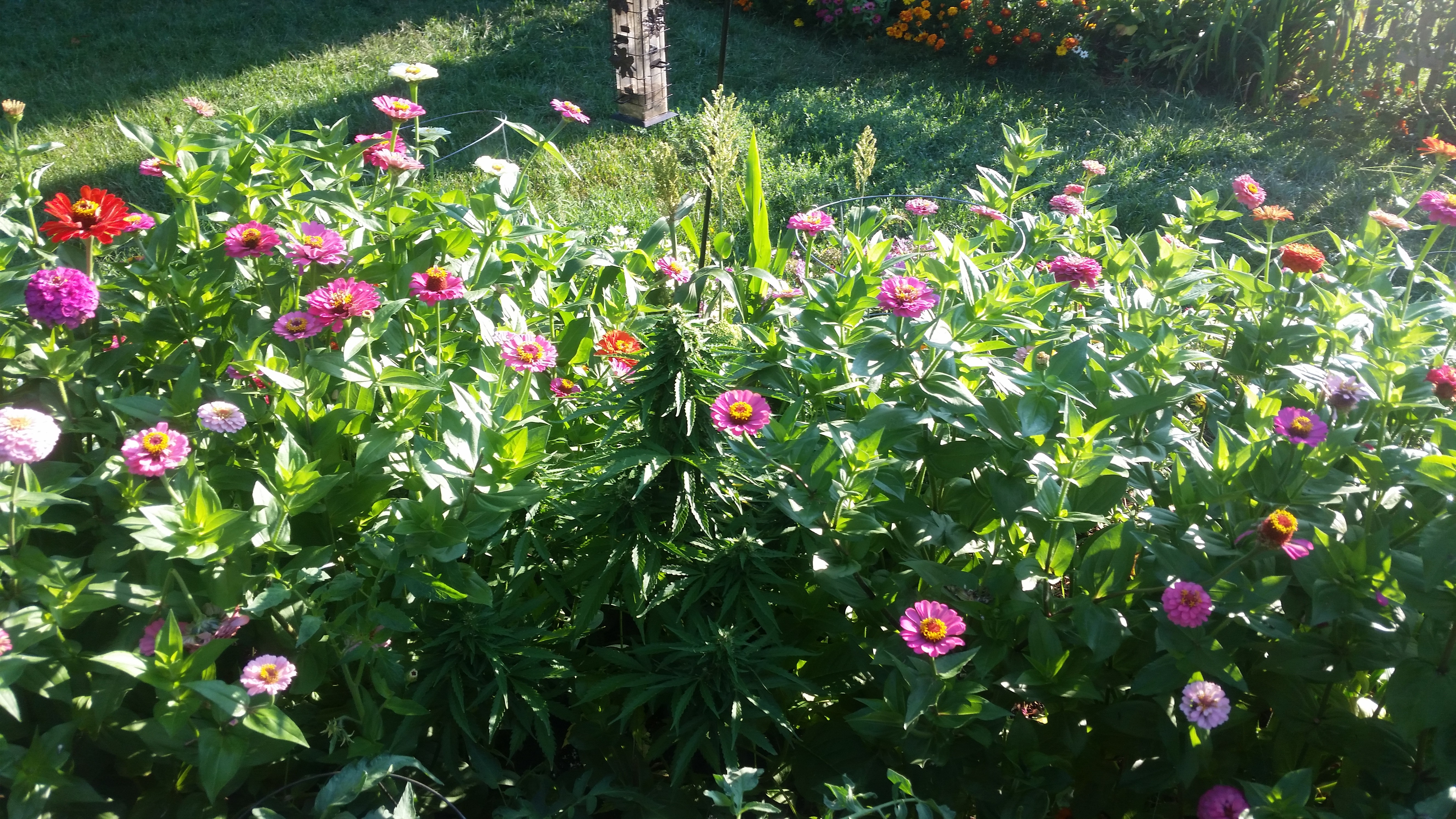 20180822_075233.jpg