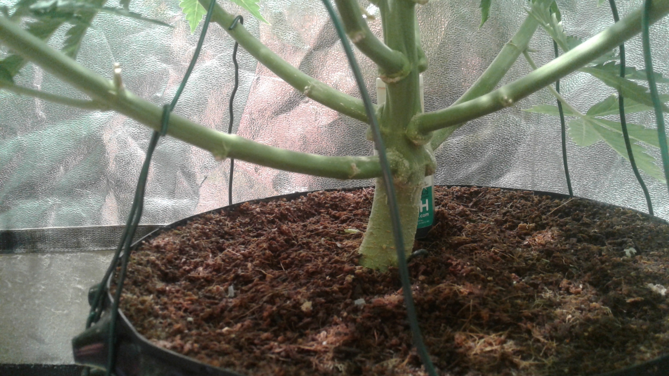 20180829_171905.jpg