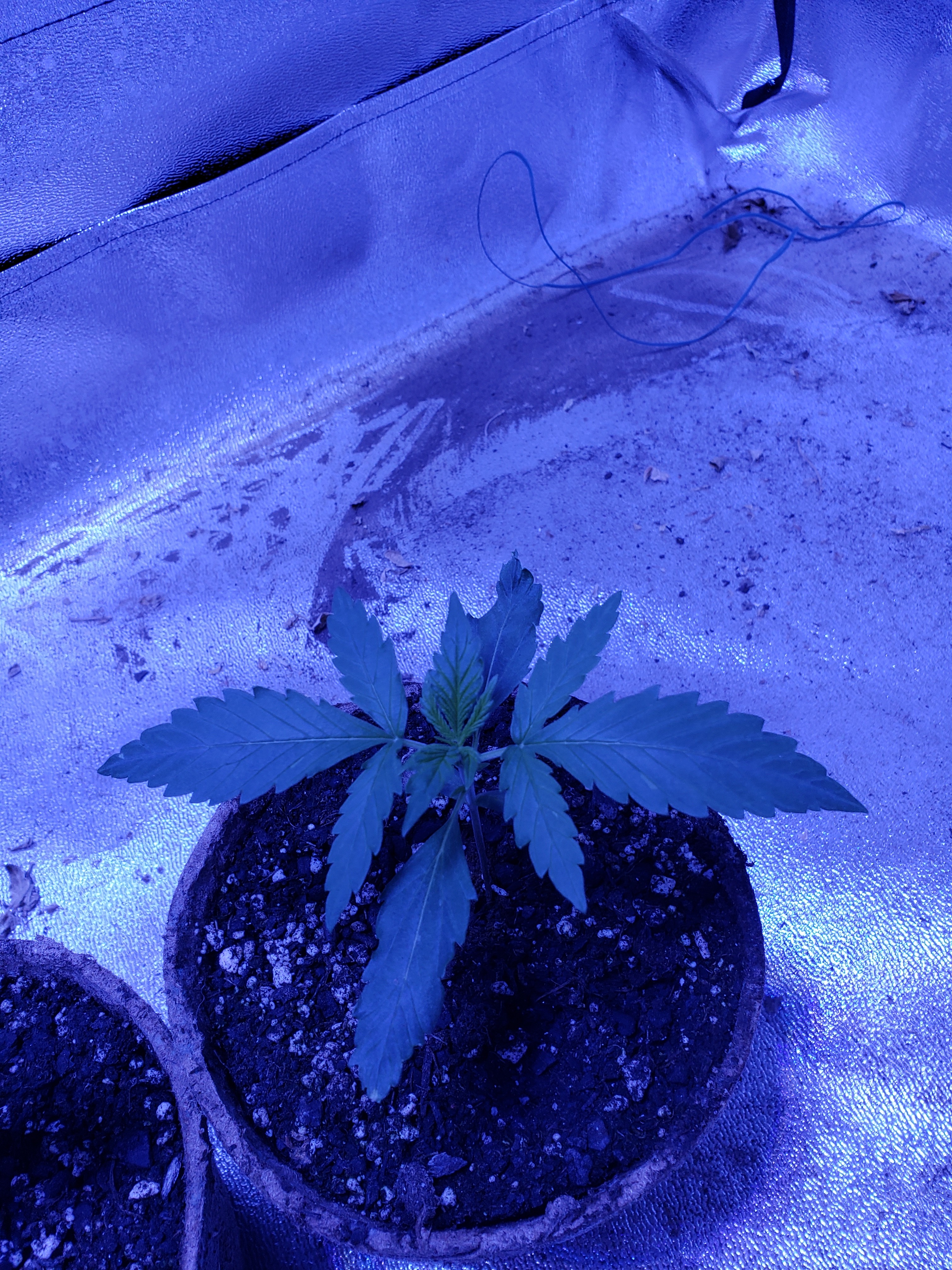 20180913_115113.jpg