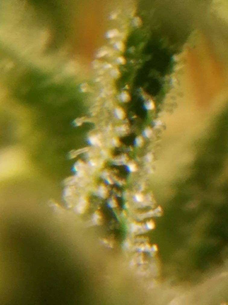 20180913_165508.jpg