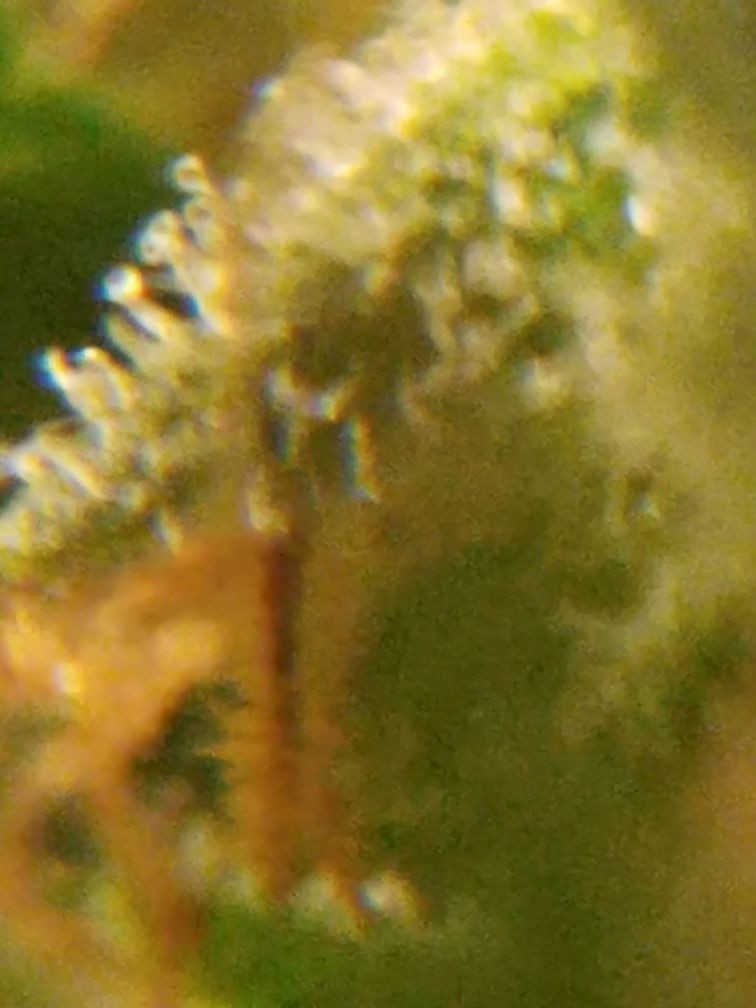 20180913_170136.jpg