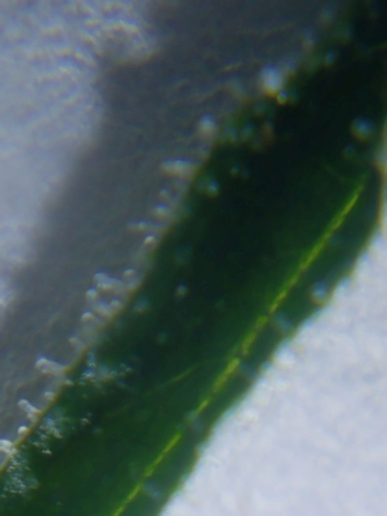 20180913_171739.jpg