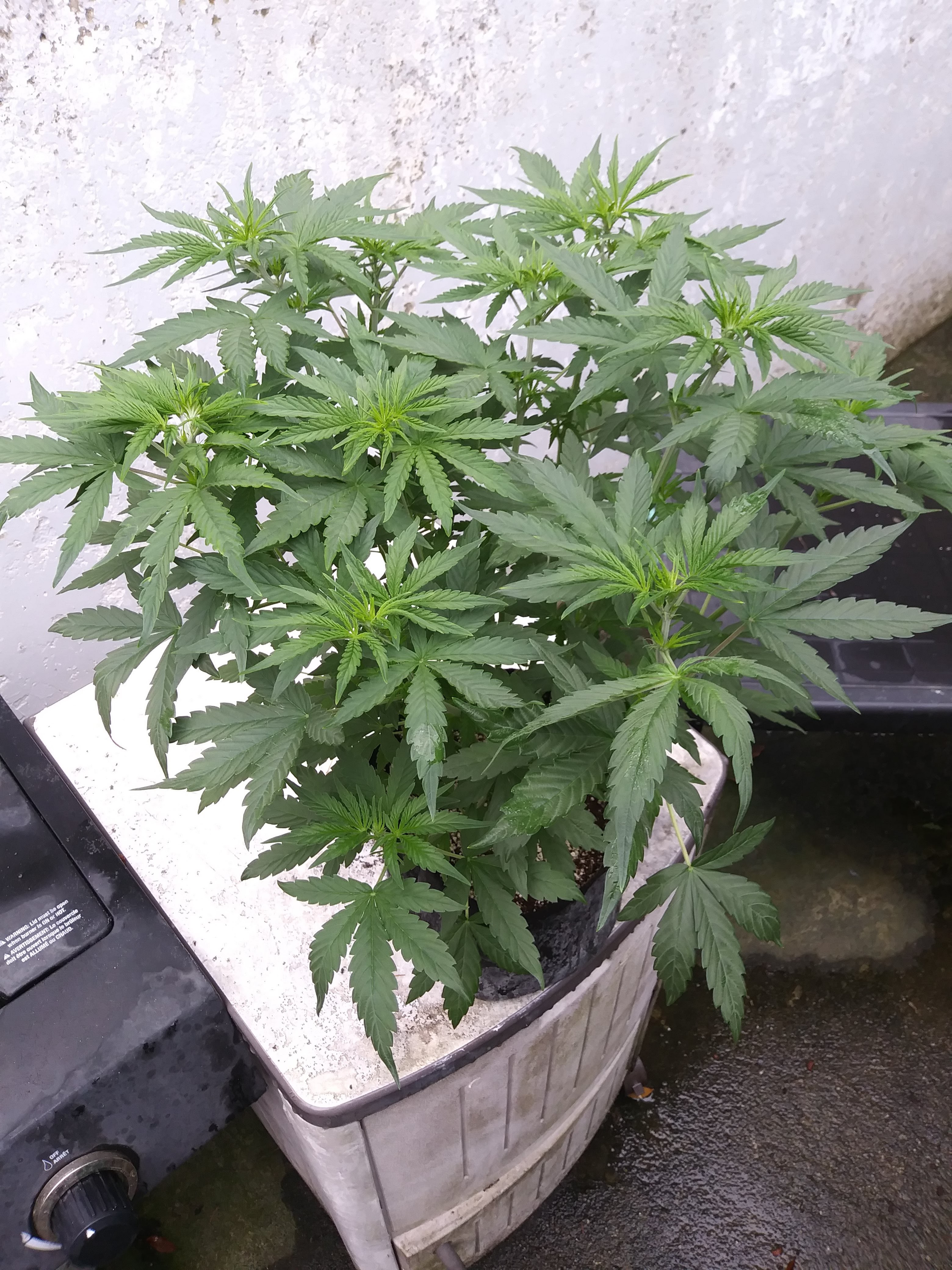 20180914_101731.jpg