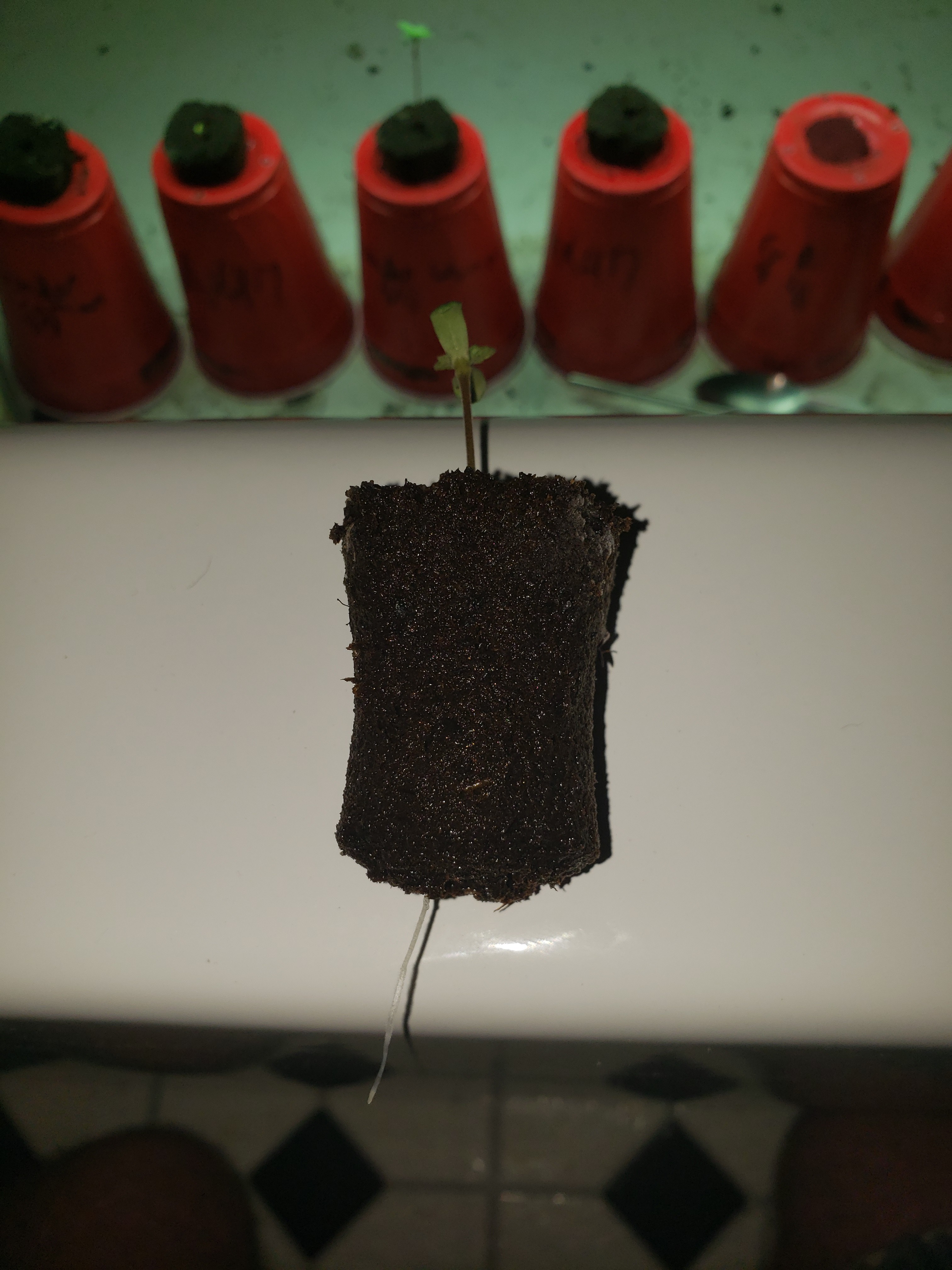 20180914_103251.jpg