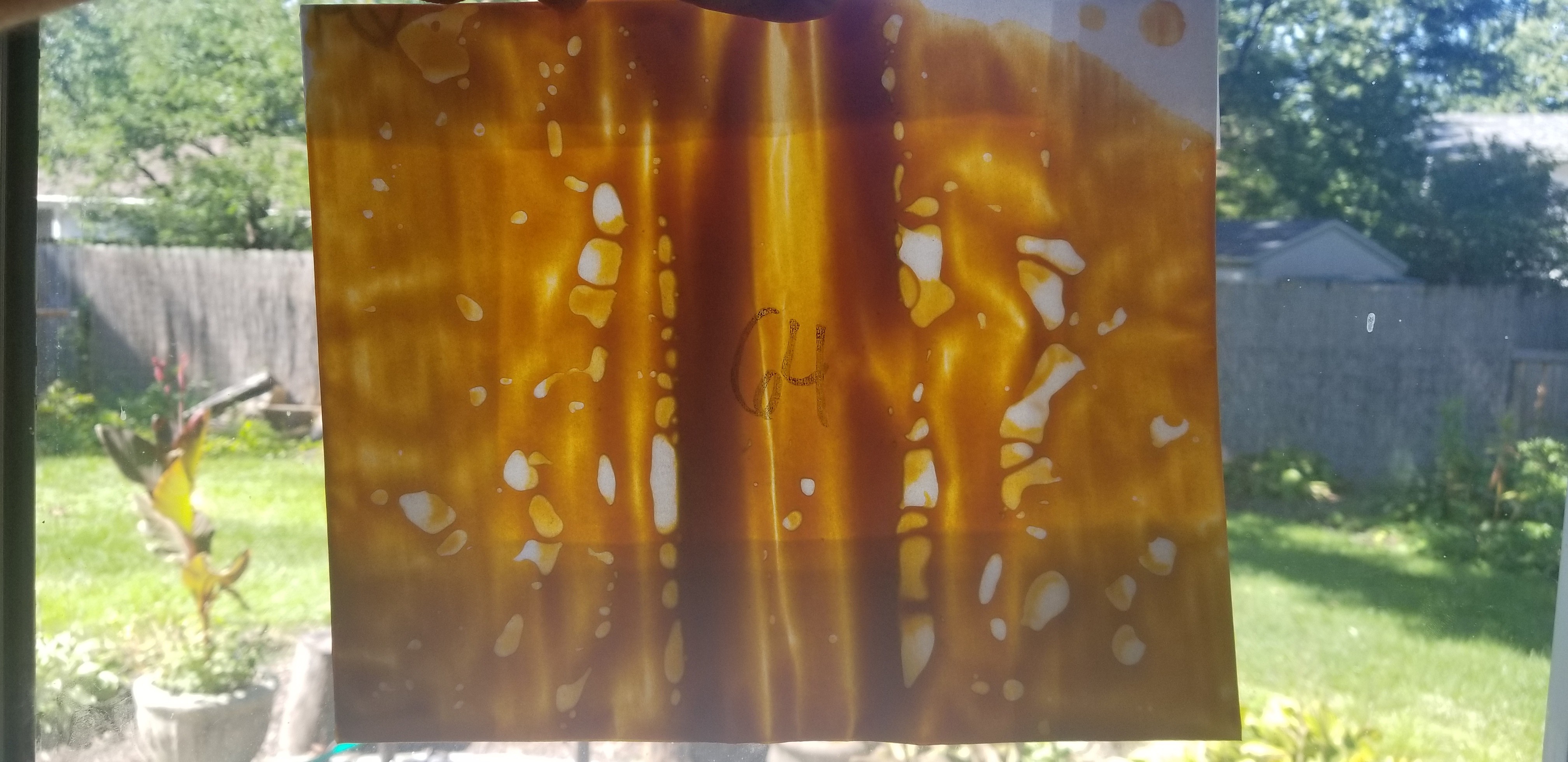 20180914_143206.jpg